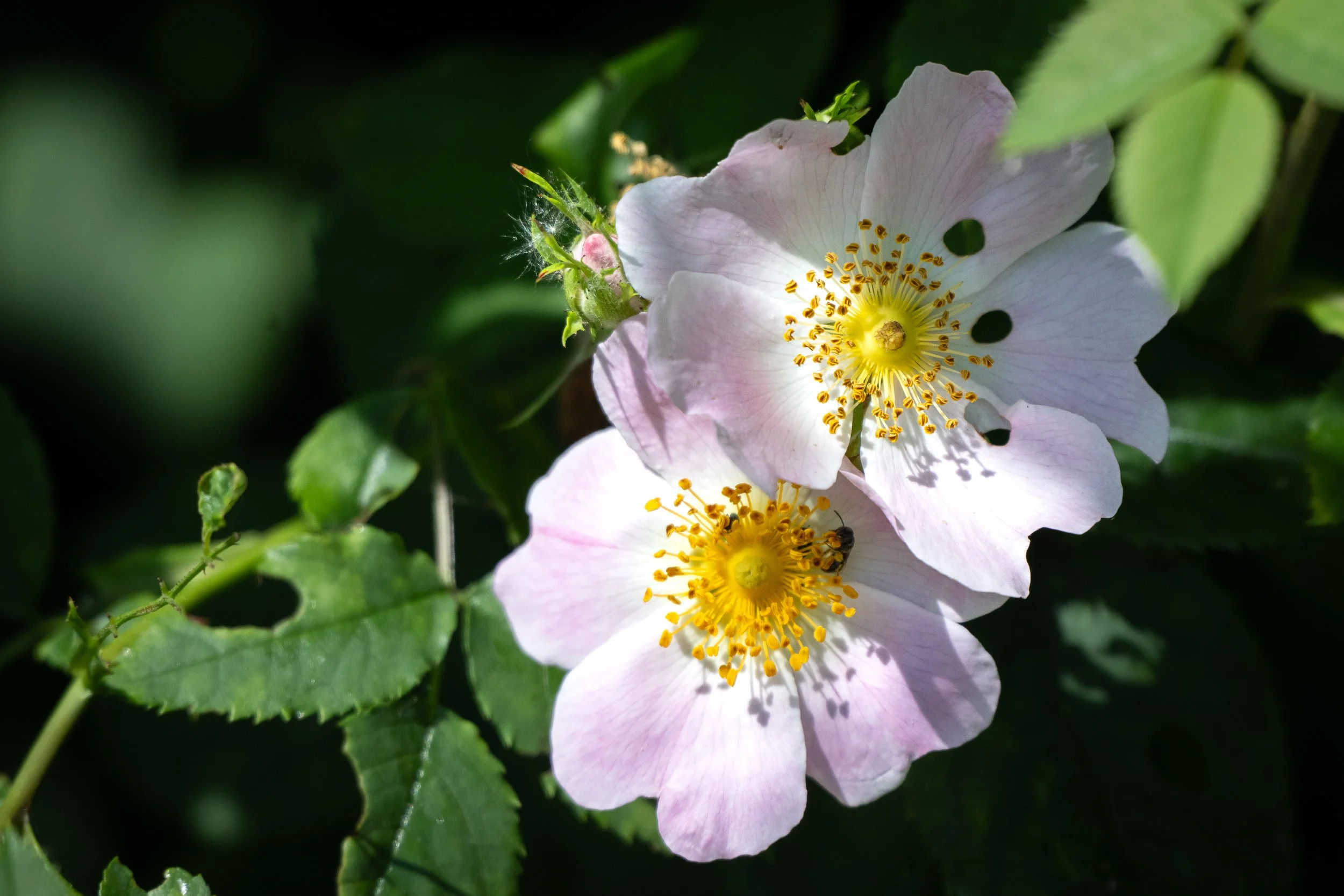 VacanzeDaMadeleineMaggio2025 -192374 - 250531.jpg