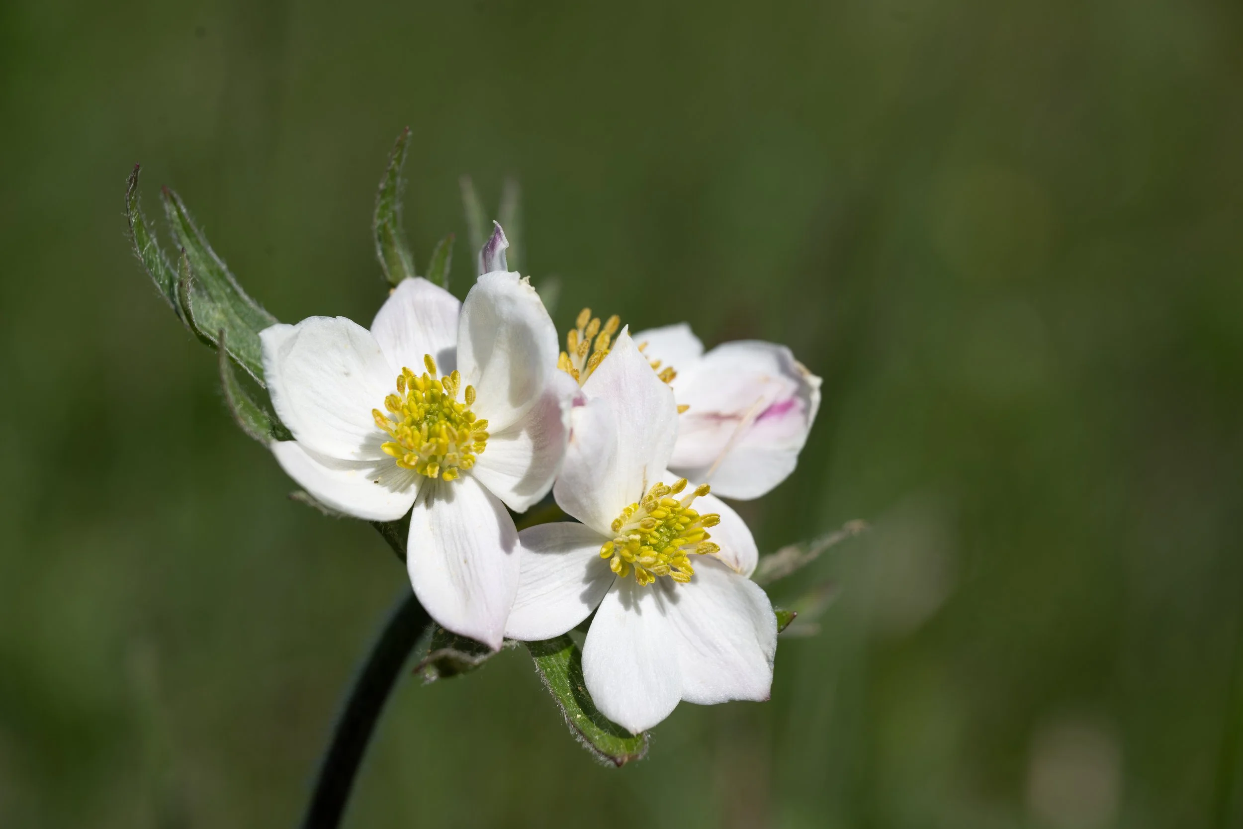 VacanzeDaMadeleineMaggio2025 -195046 - 250530.jpg