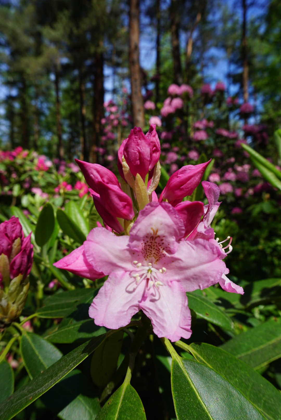 101 tapaa hemmotella itseä