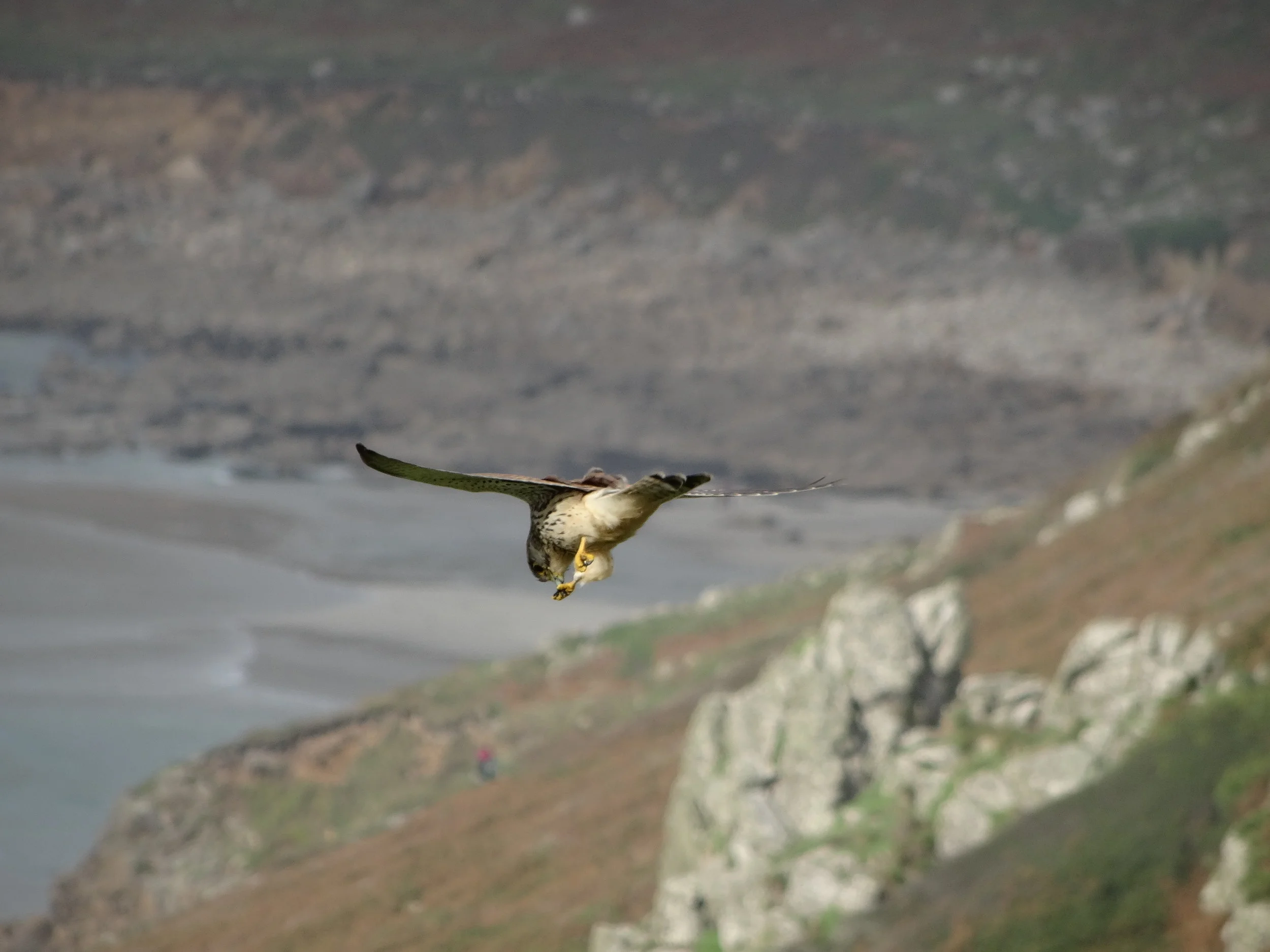 Hallitsetko sinä syömisiäsi vai hallitsevatko syömiset sinua?