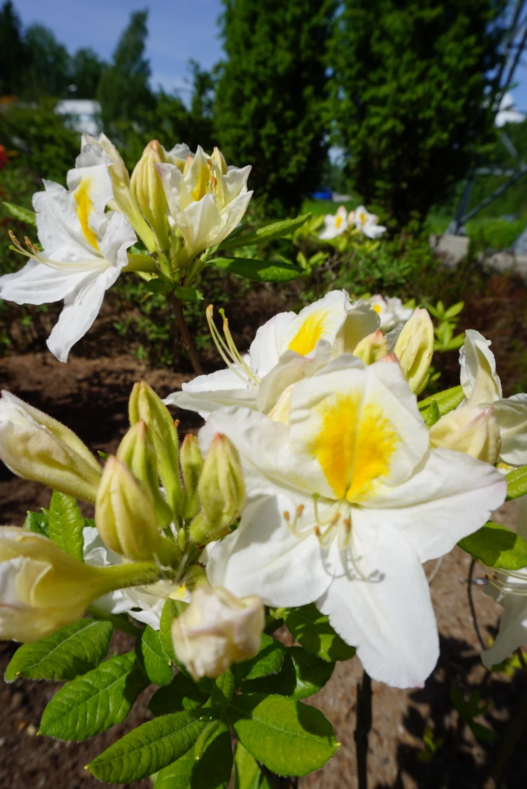 Omista oikeuksista ja niiden ajamisesta