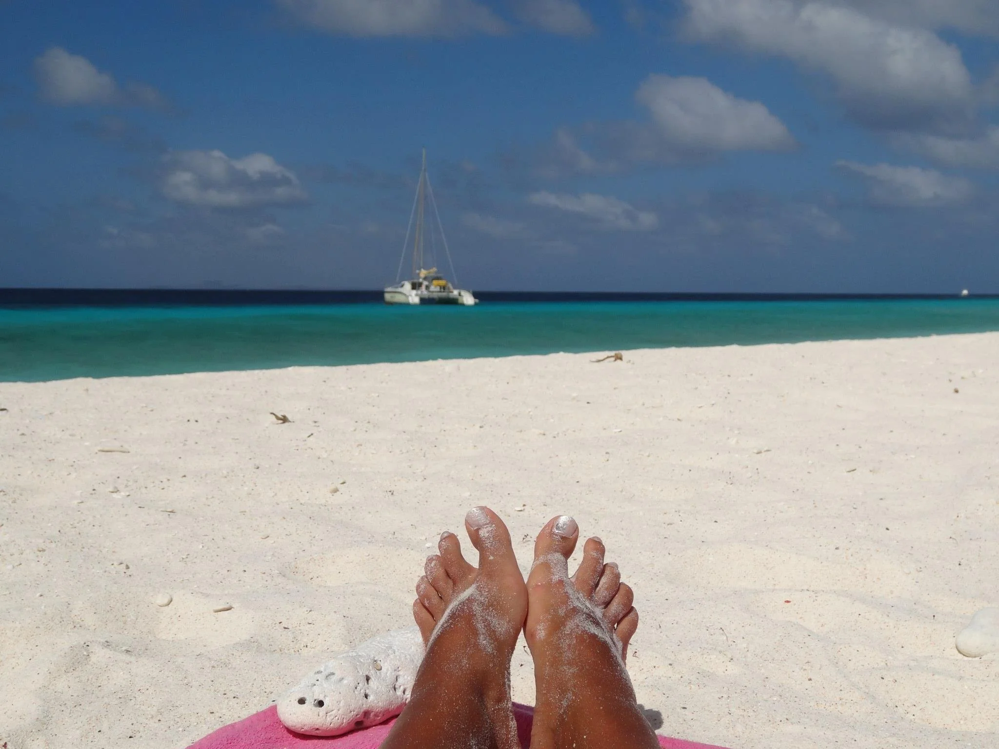 Mitä sinulle kuuluu ensi vuonna?