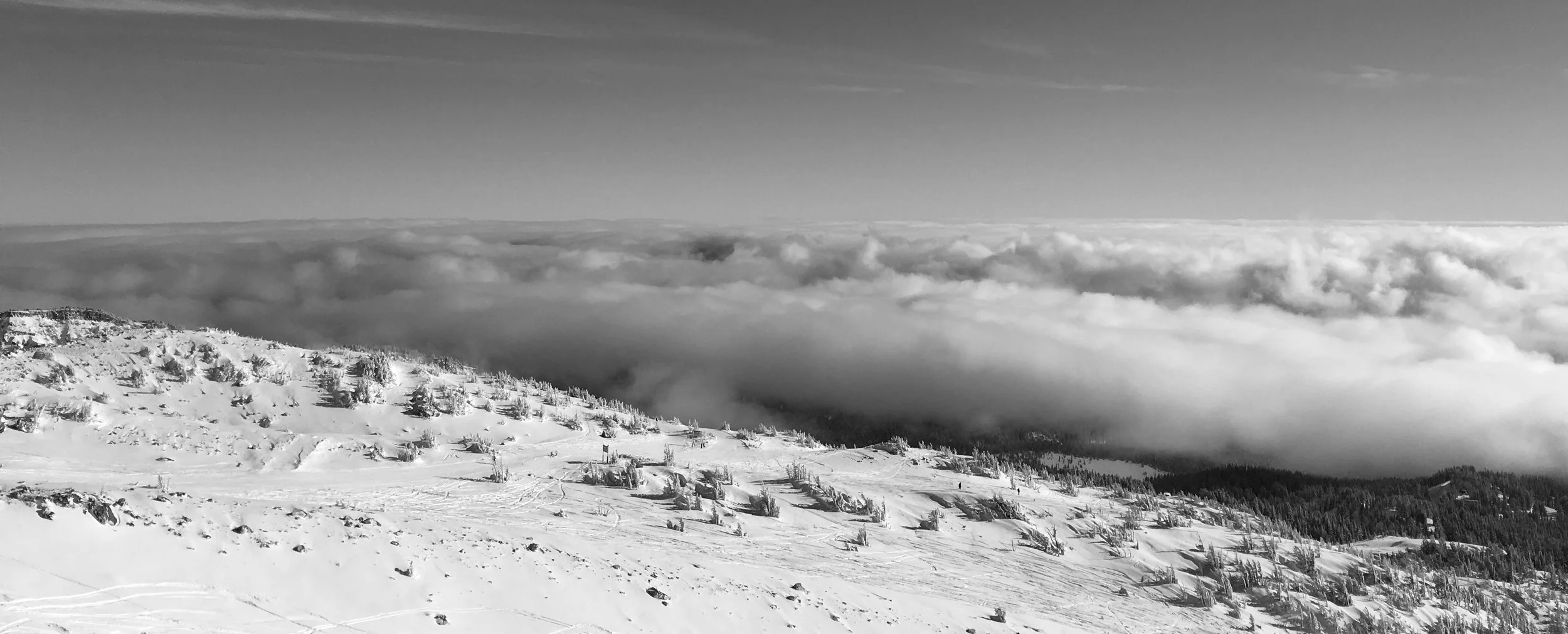 IMG_9826 - Version 2.JPG