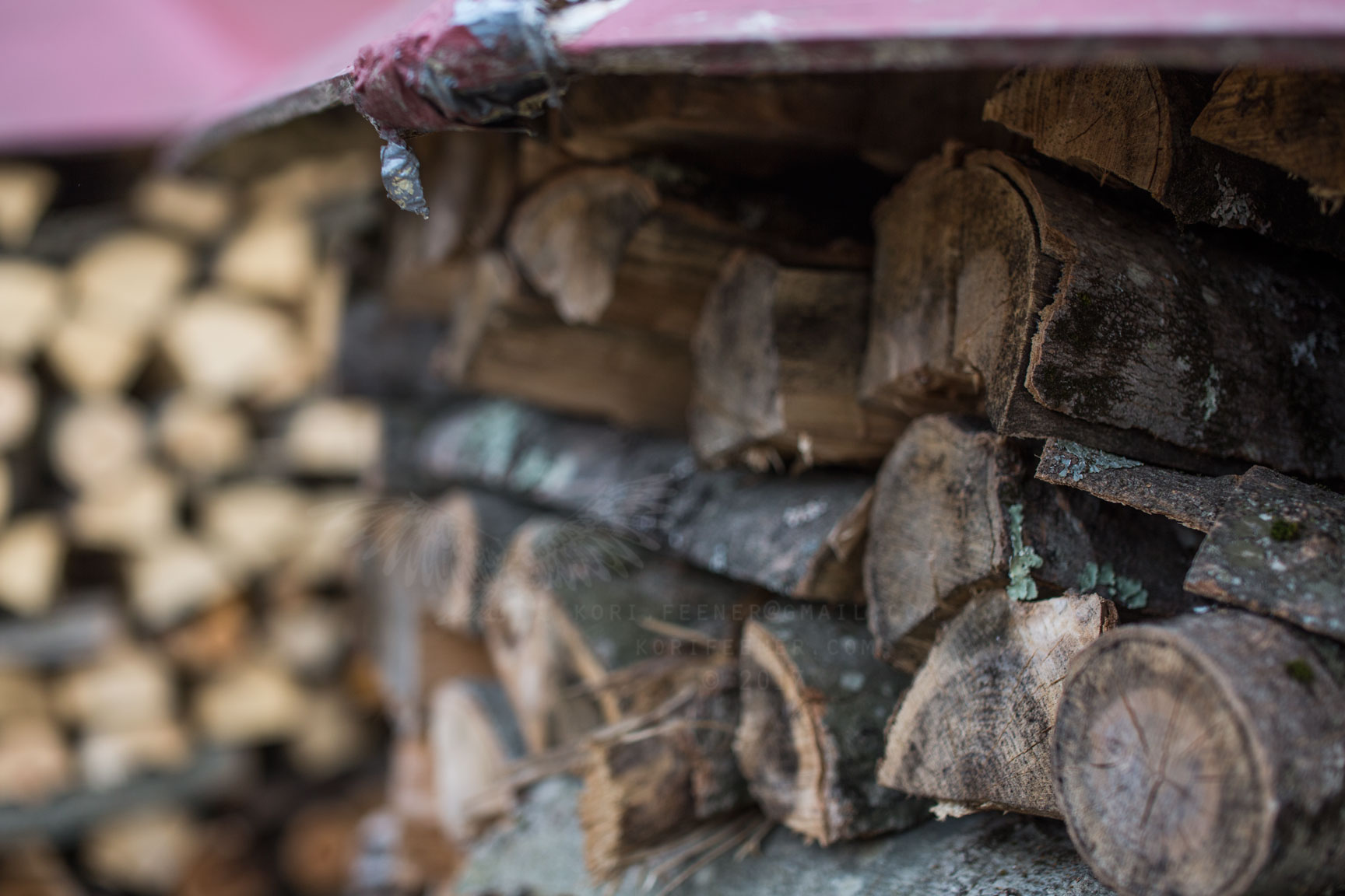  Brian Donahue's yard; pristine wood piles. 