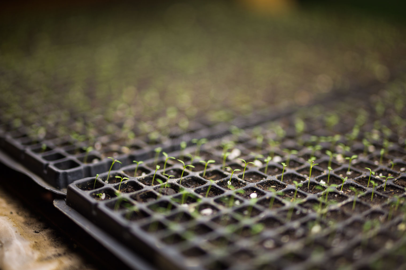 Episode 02: The Future of Food in New England