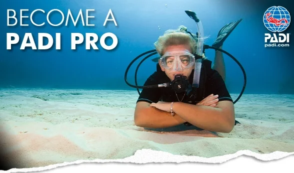 dive-master.jpg