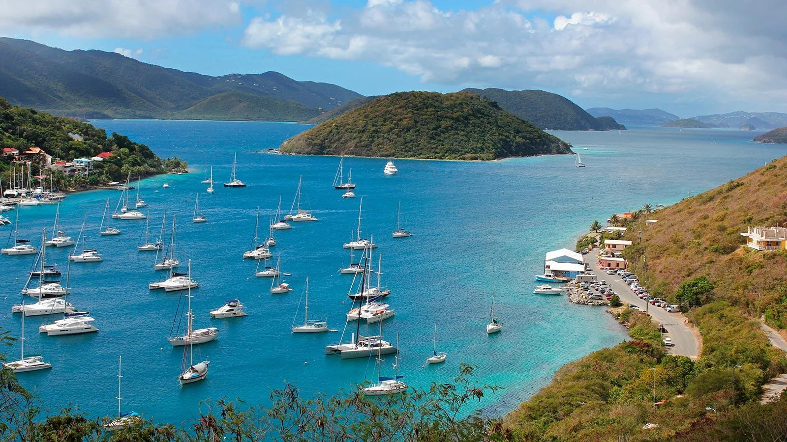 BVI-7.png