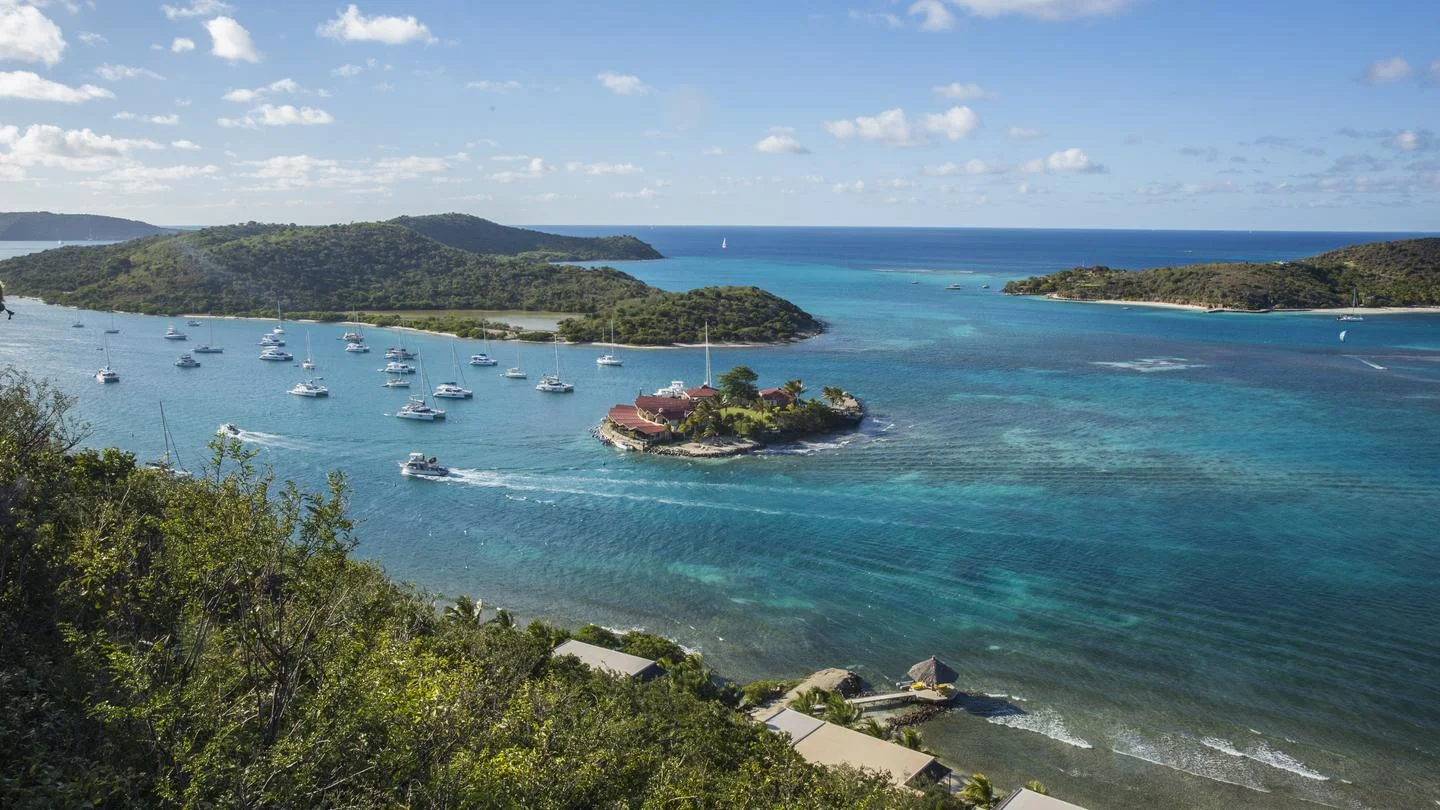 BVI-2.png