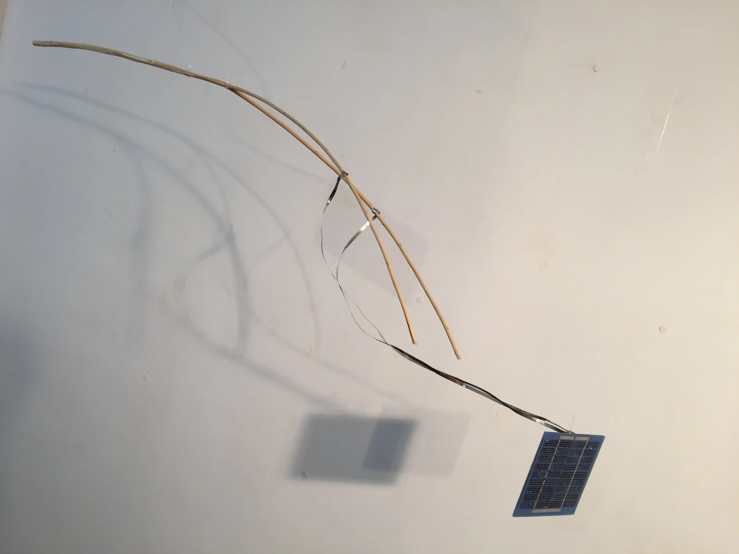 Baguette de Soucier Solaire, 2016