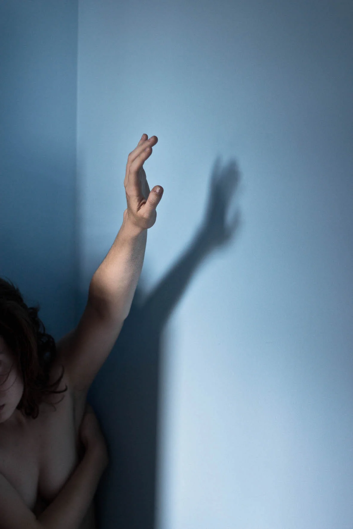 Blue Room 8, 2014 - 2017