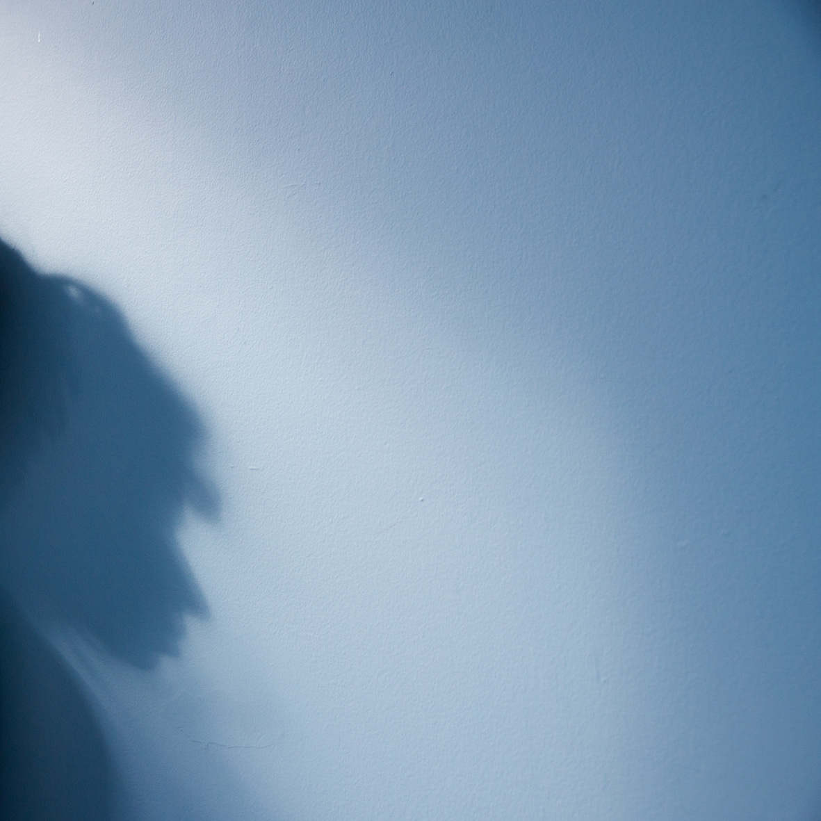 Blue Room 9, 2014 - 2017