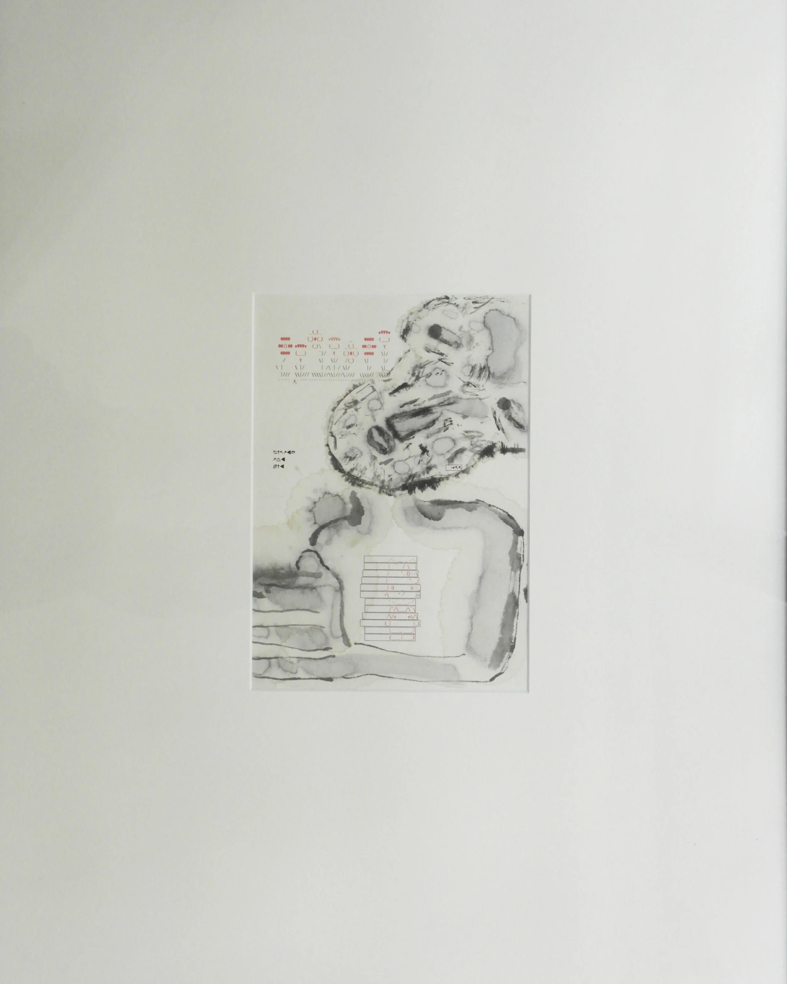 Big Flower and Cat, 2016