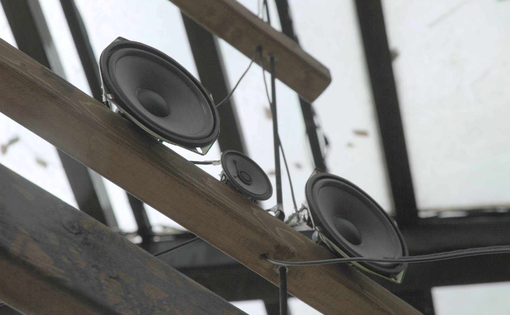 VOCALISATIONS 02.jpg