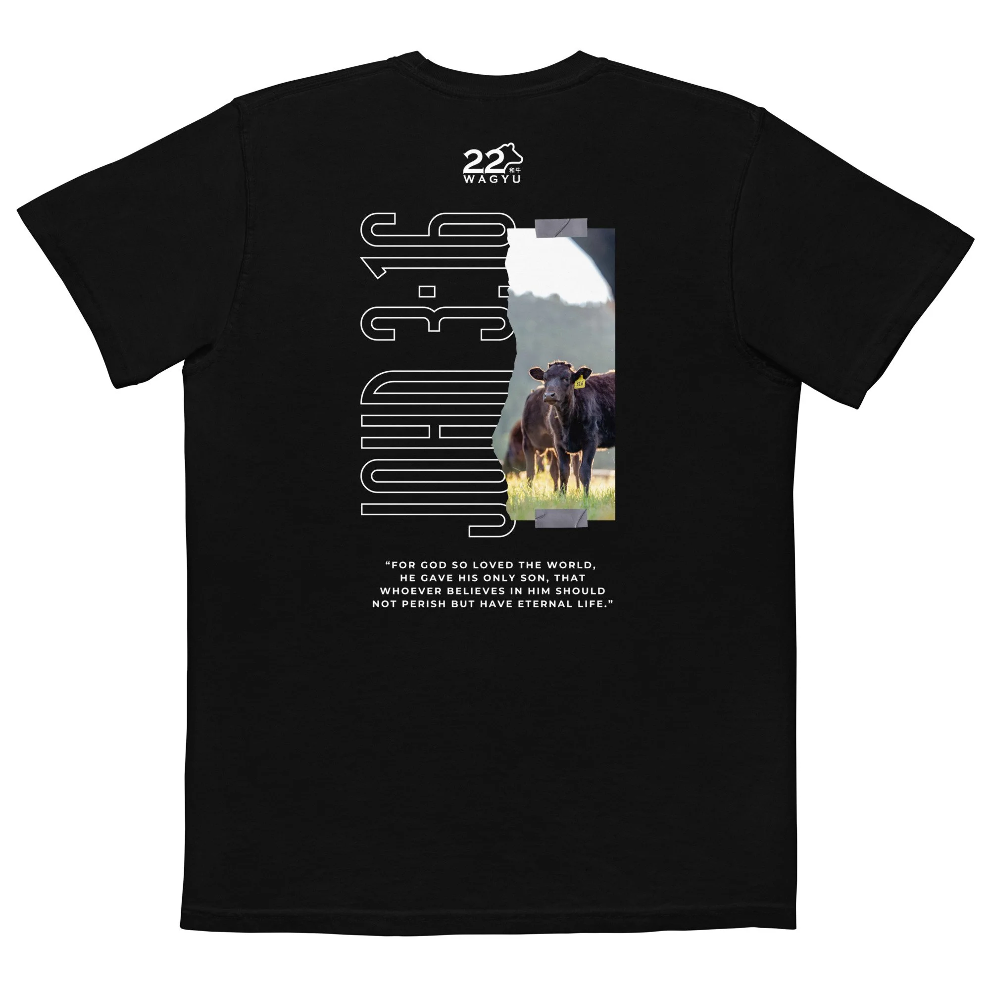 unisex-garment-dyed-pocket-t-shirt-black-back-64fd38842f7a0.jpg