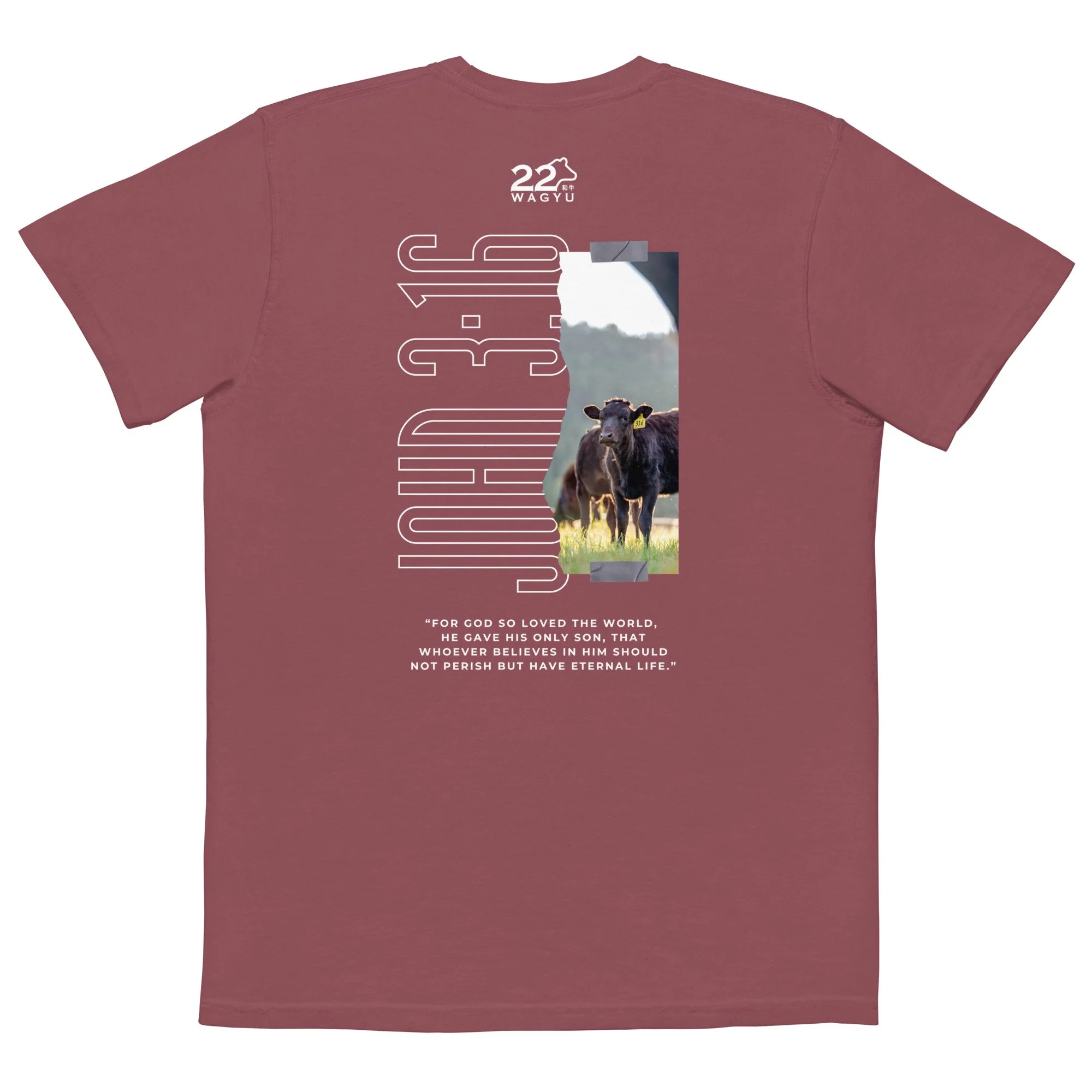 unisex-garment-dyed-pocket-t-shirt-brick-back-64fd38842fa1e.jpg