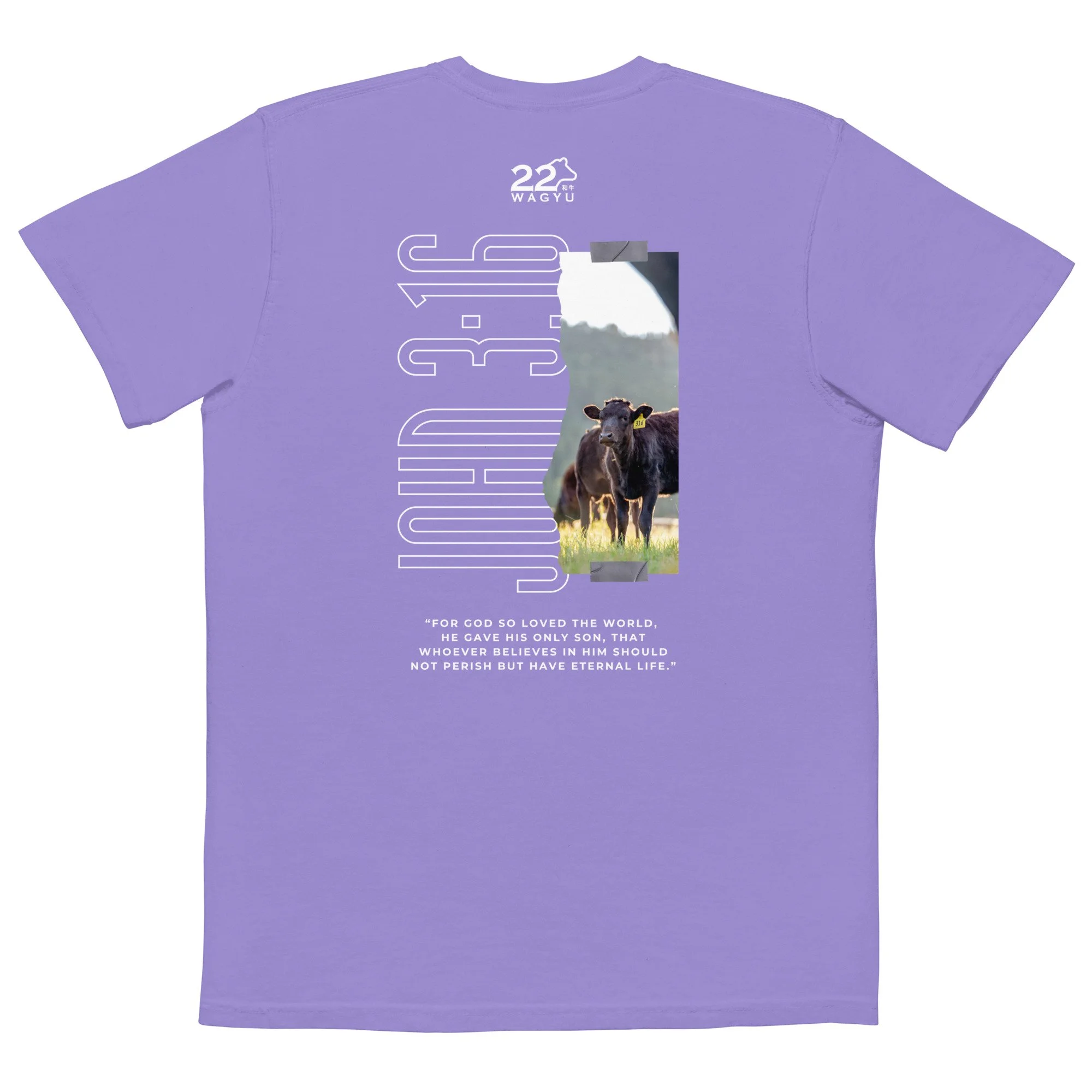 unisex-garment-dyed-pocket-t-shirt-violet-back-64fd38842fcf9.jpg