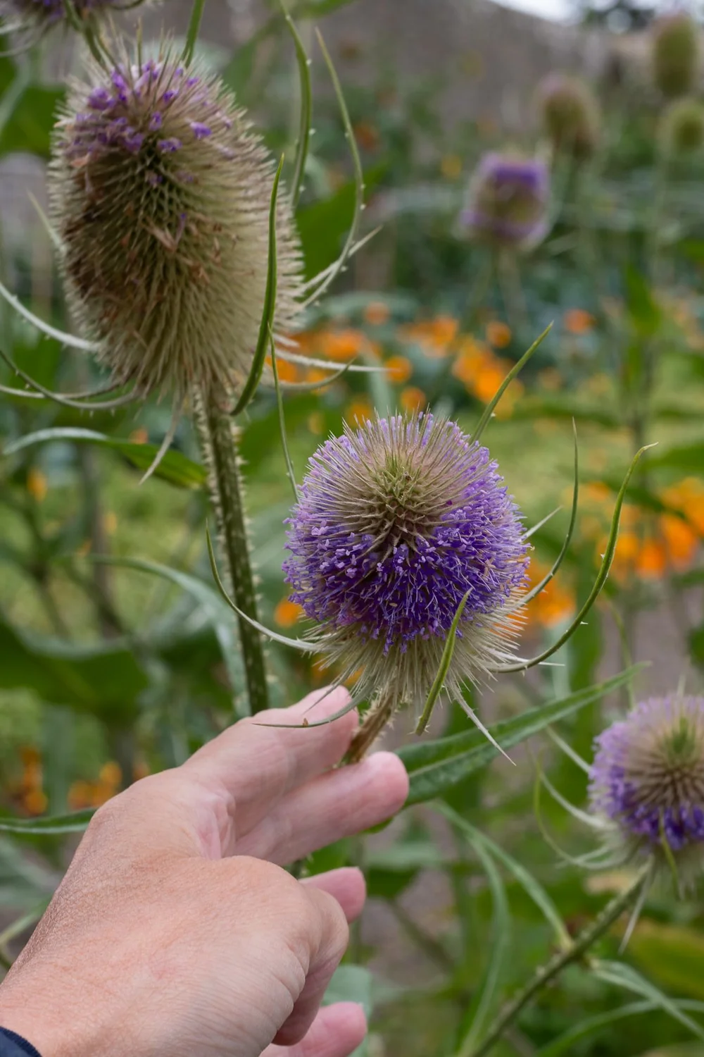 We will explore textures.