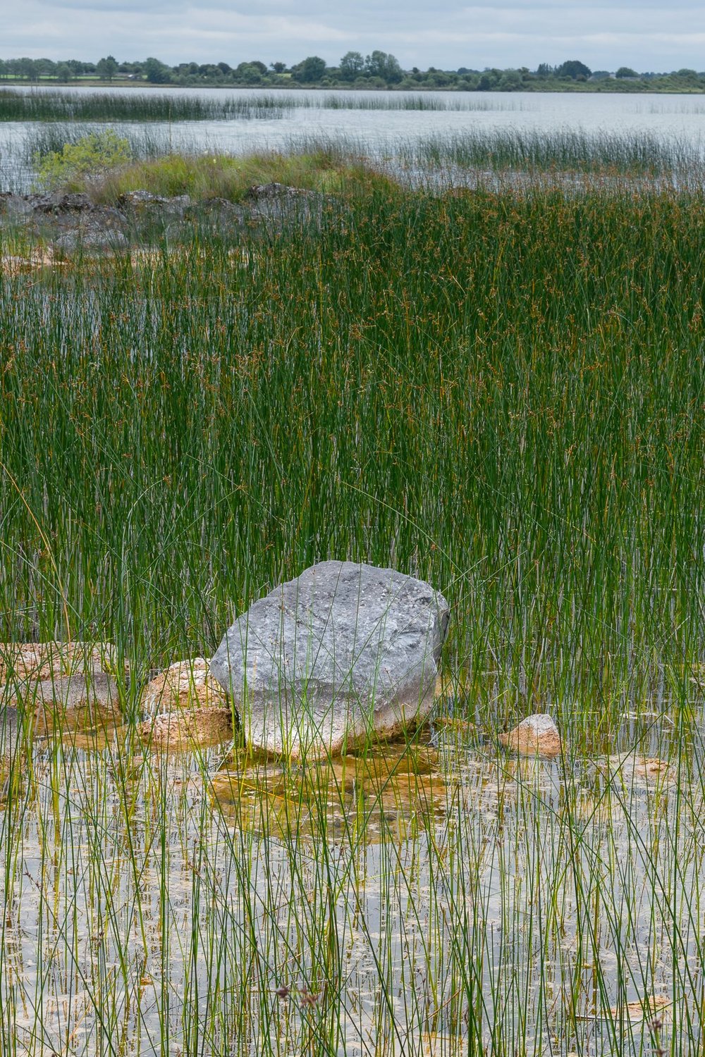 + Reflect on the symbolism of stones.