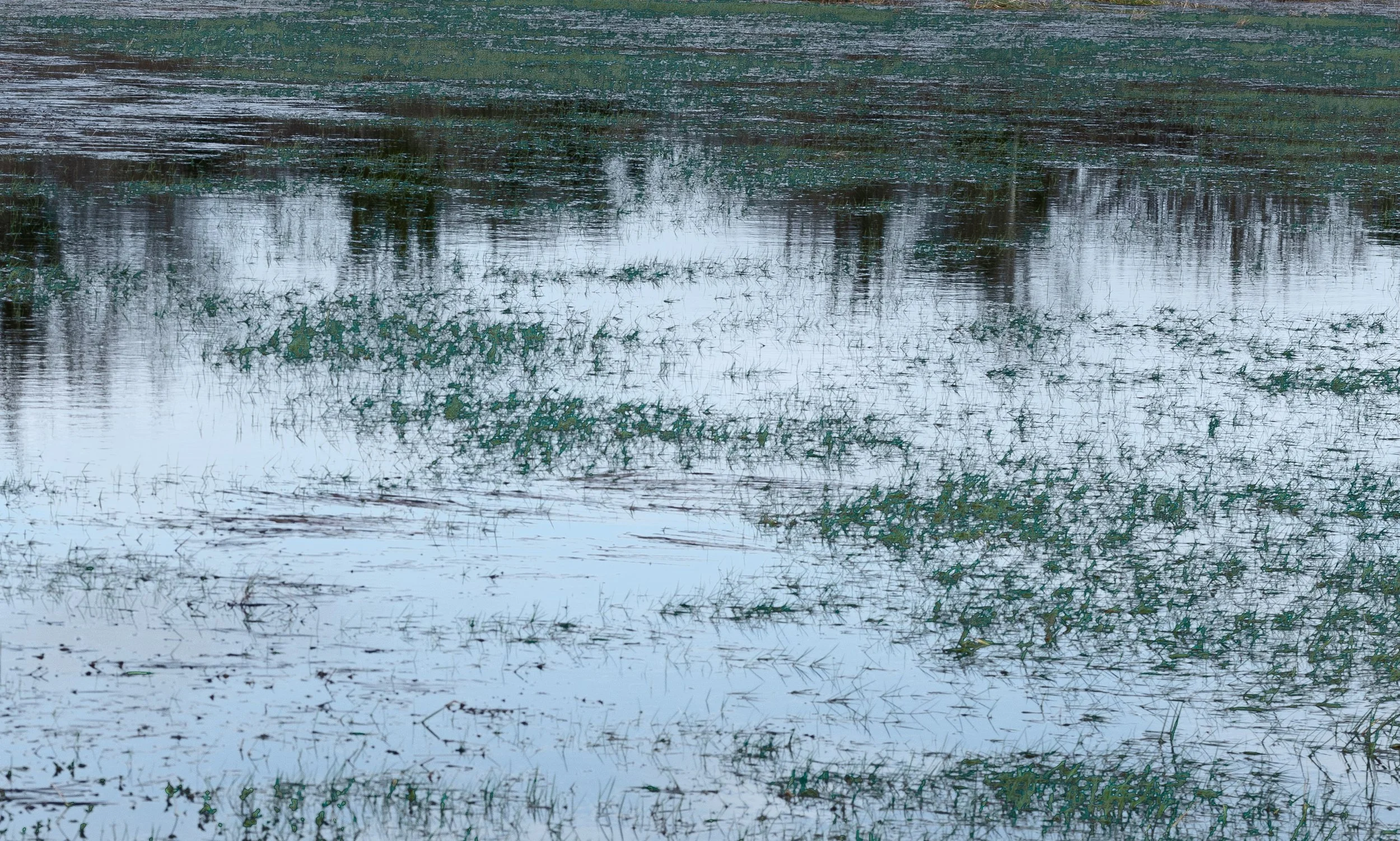 Textured spring light