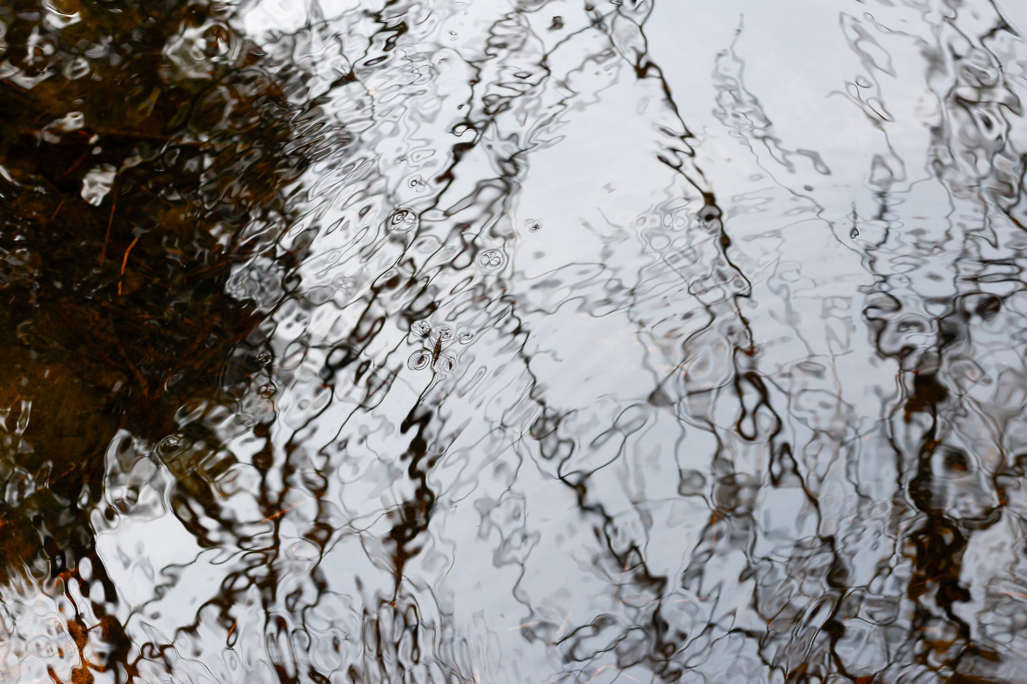 Sign of a healthy river