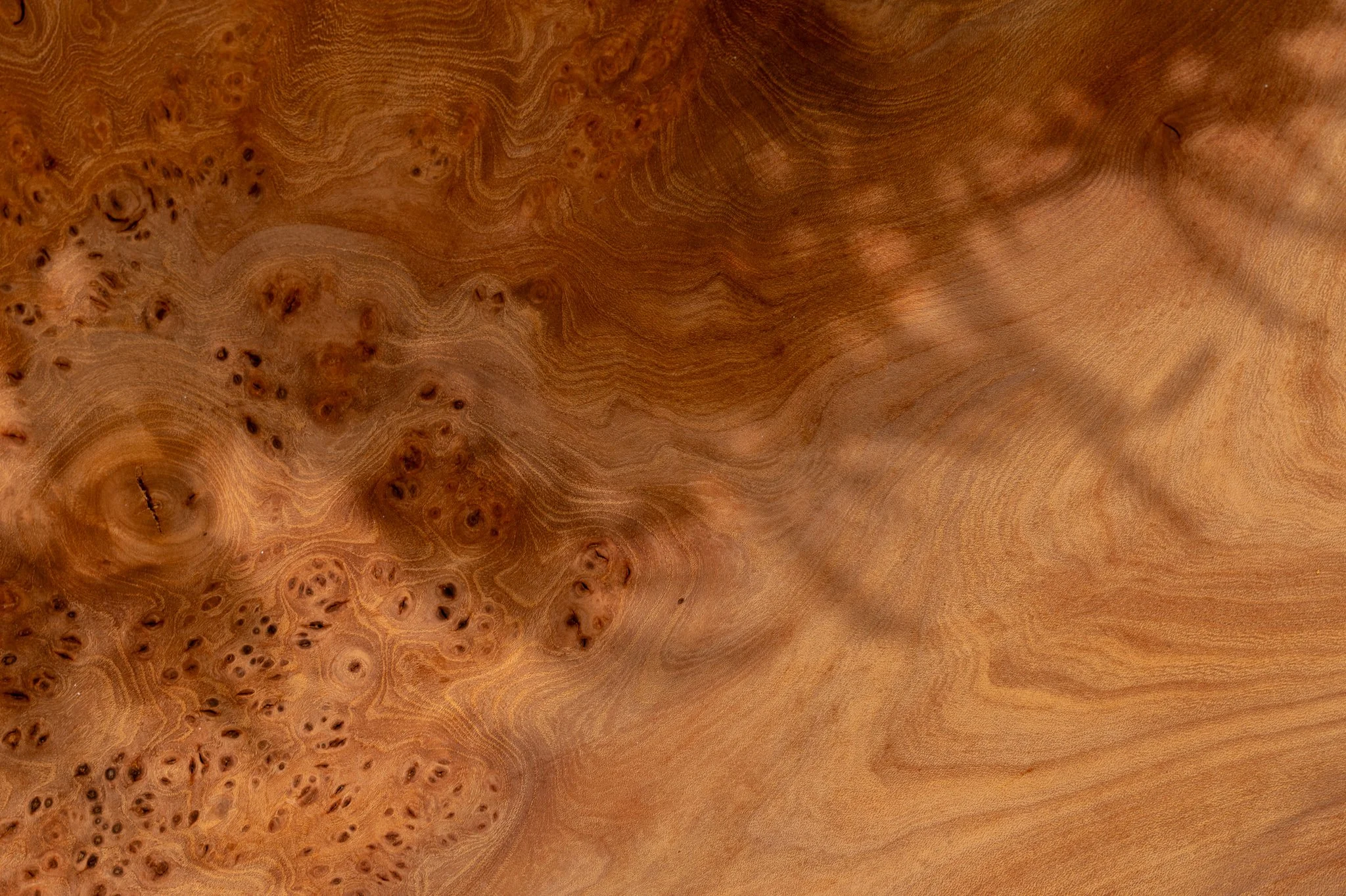 Close-up of textured wood surface with organic grain patterns, evoking growth and natural systems