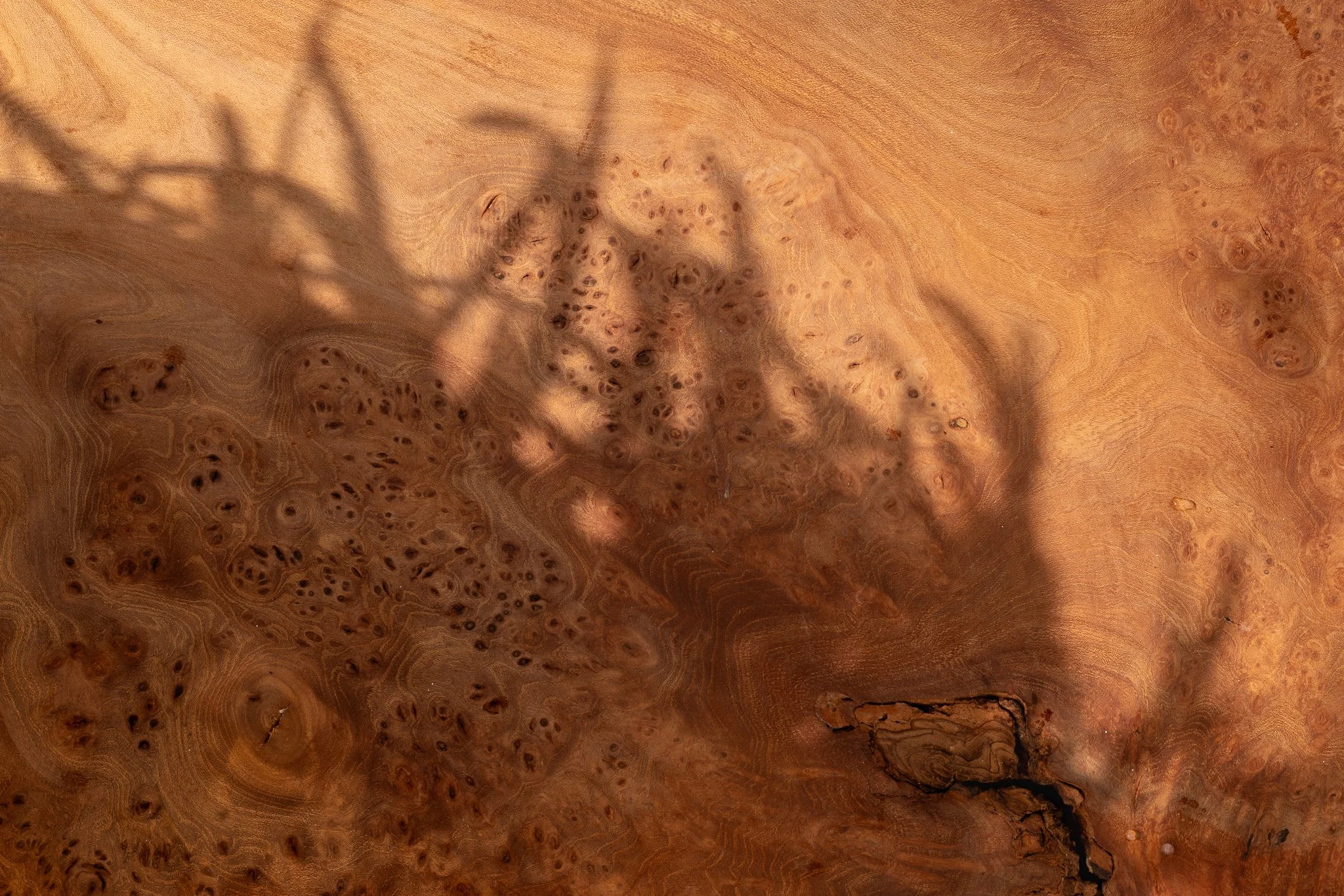 Wood surface with shadow and crack, suggesting light, time, and material change