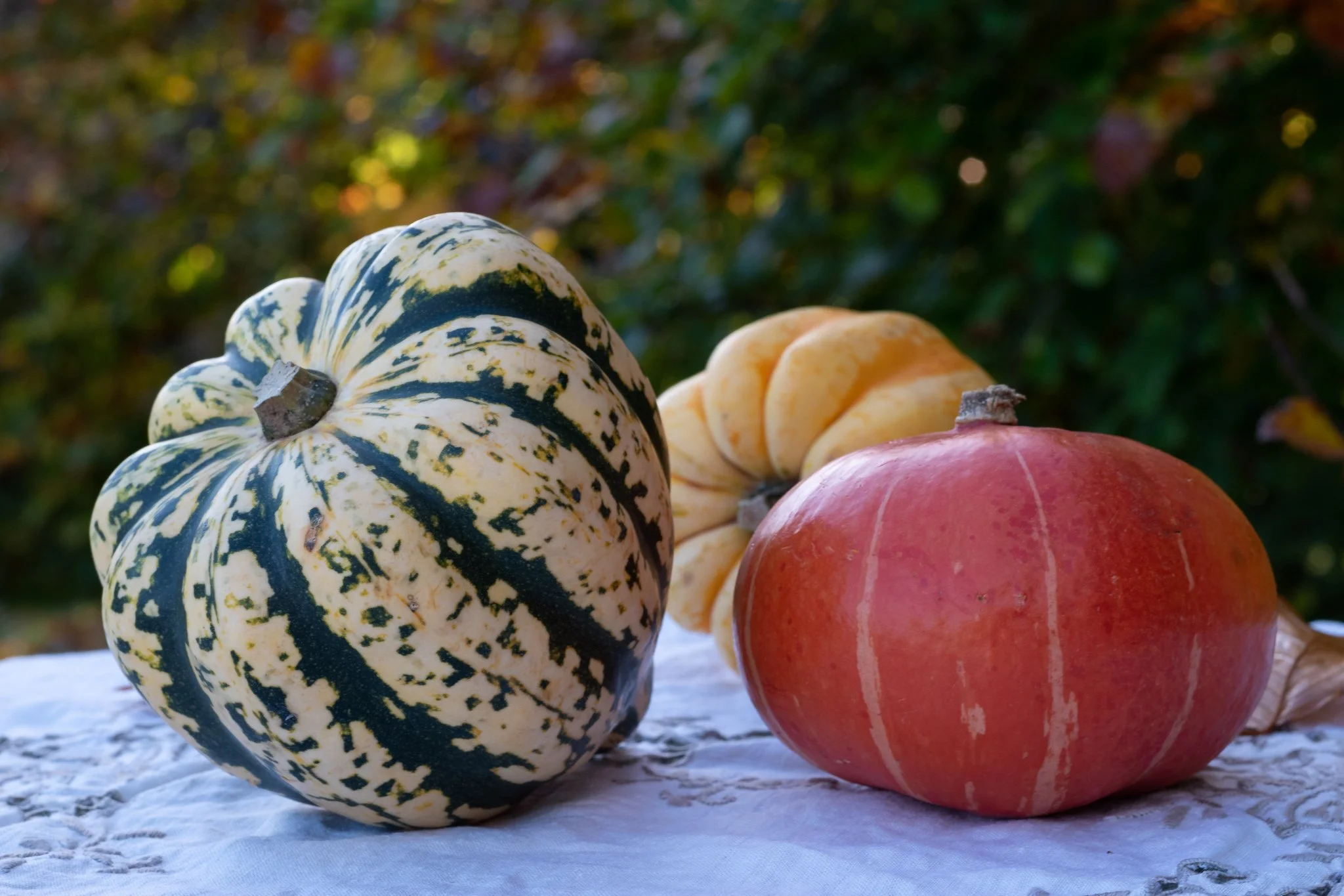 Mindfulness Blog.jpg