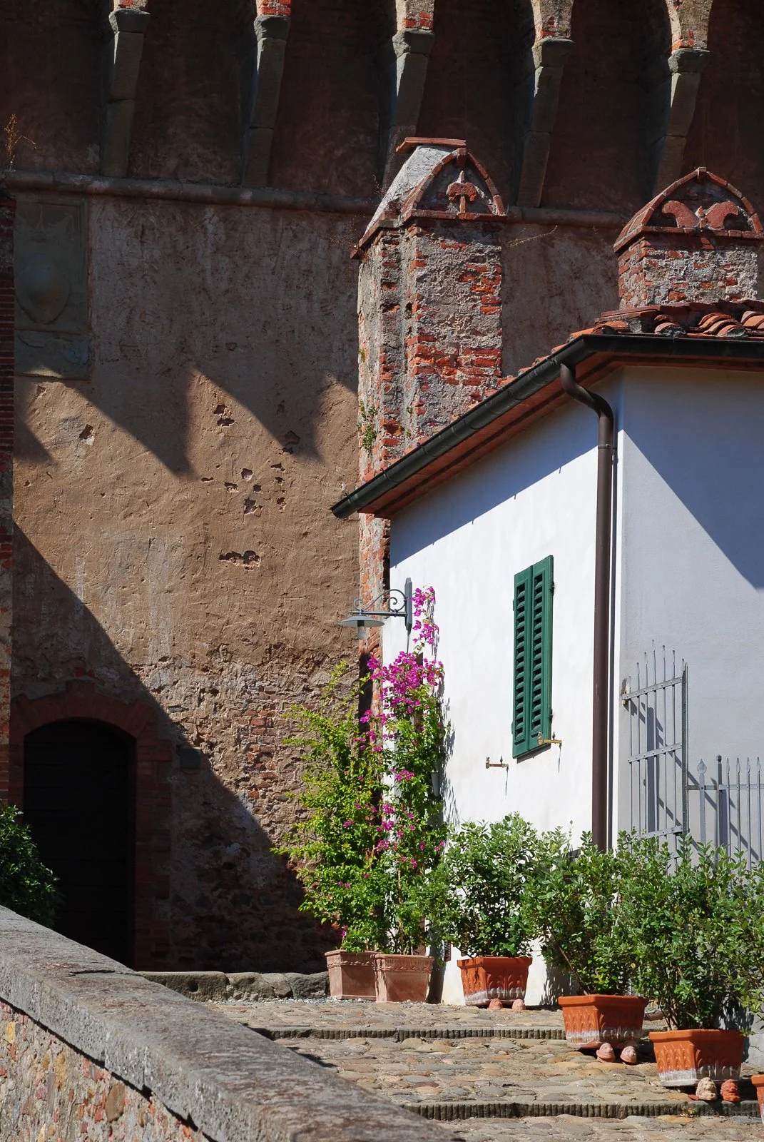 Anna King-7 copy.jpg