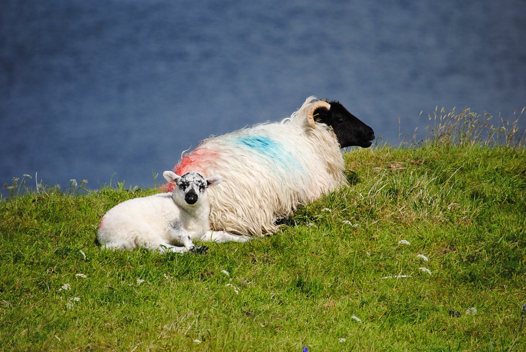 For WEb Only-4 copy 5.jpg