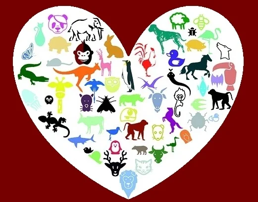 heart-678482_960_720 - Copy.jpg