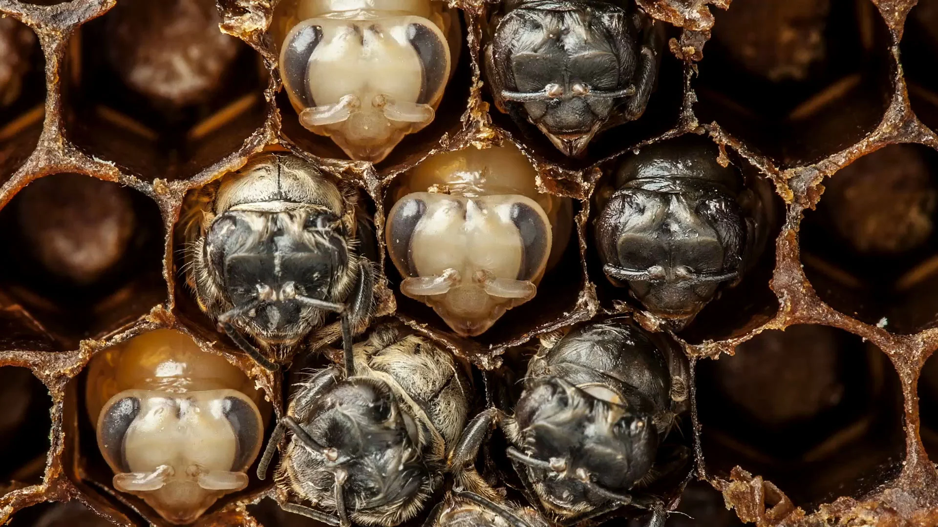 Source: National Geographic
