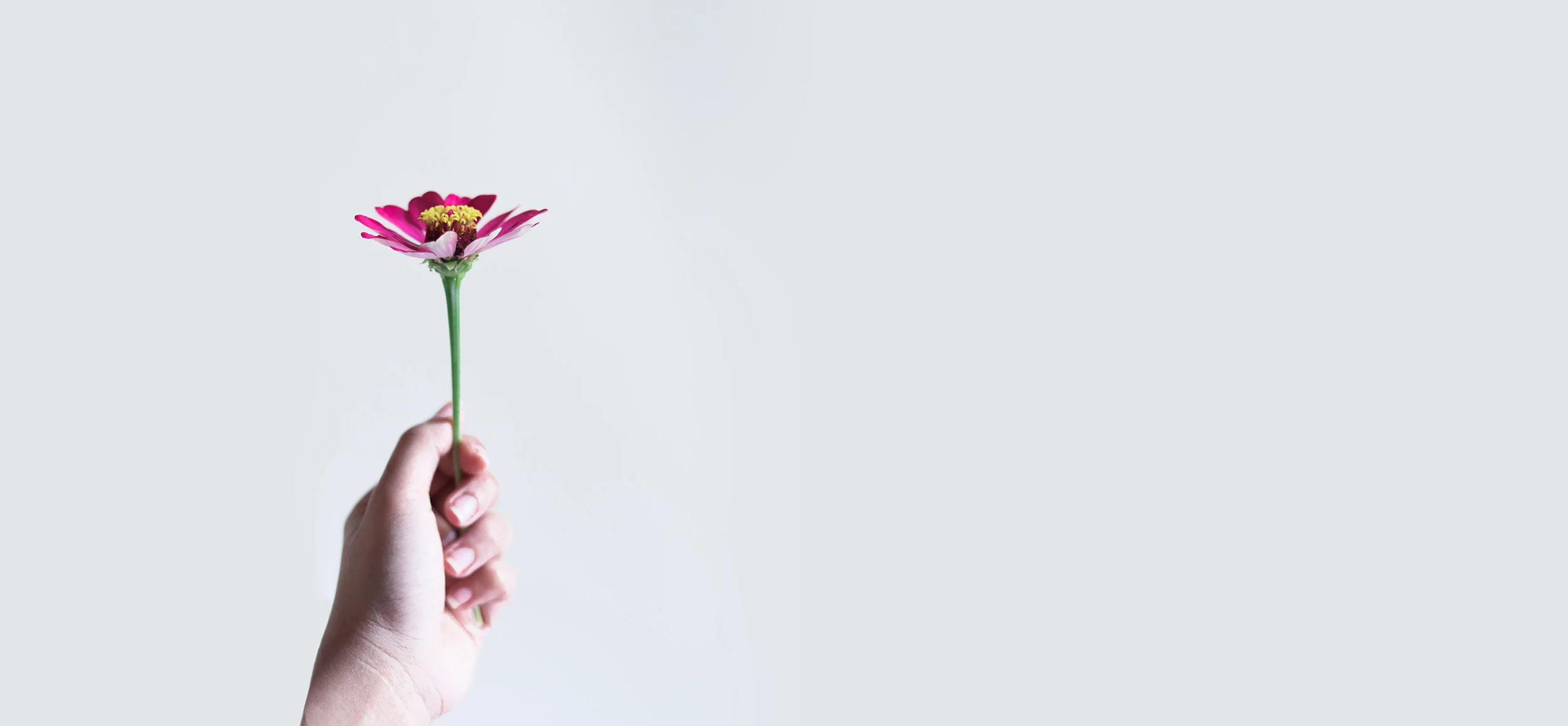 ria-alfana-1230050-unsplash_edit.jpg