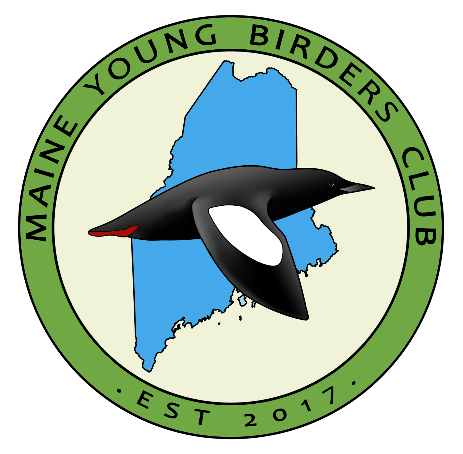 Maine Young Birders Club