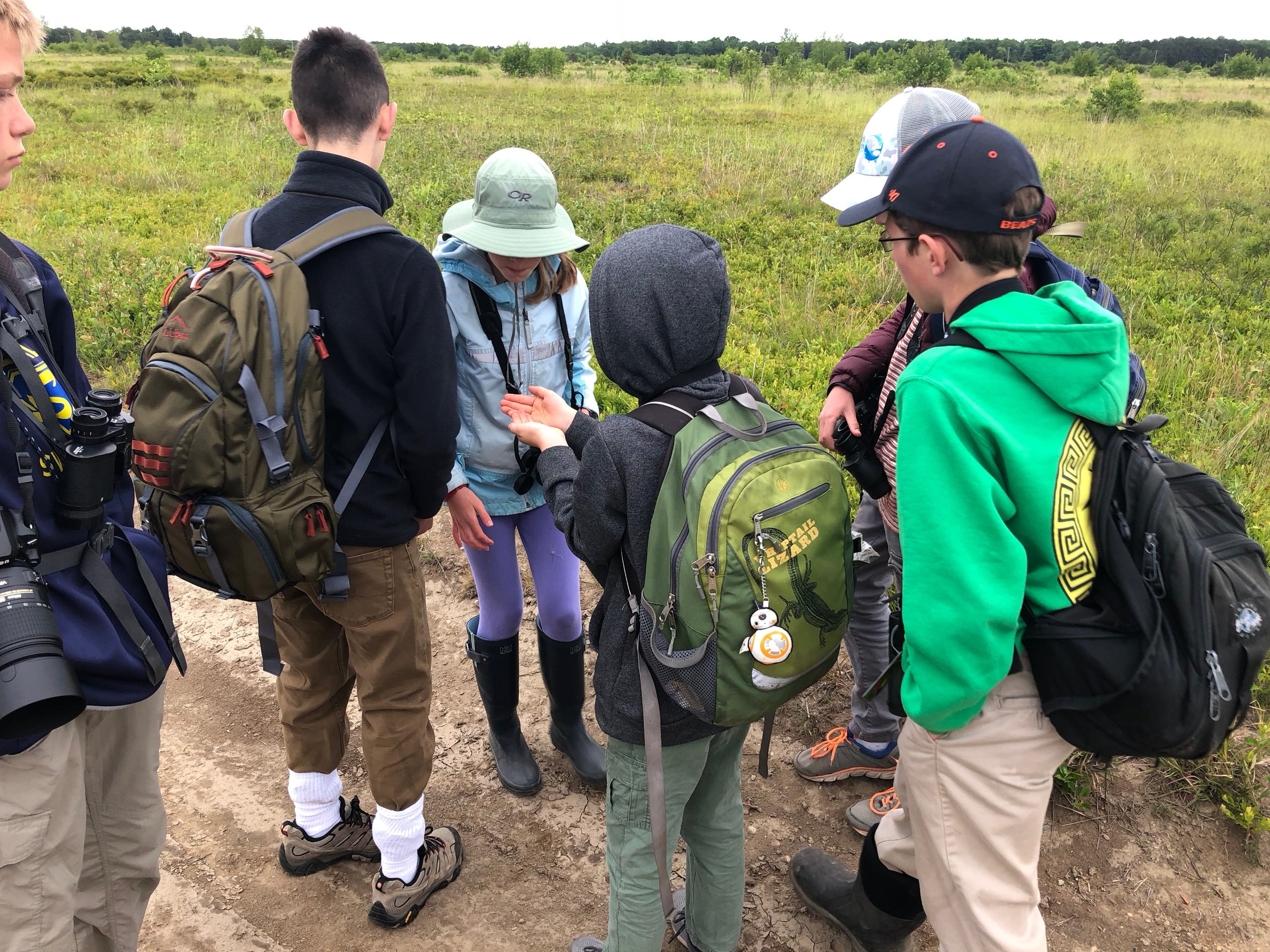 Curiosity takes over when a beetle is involved