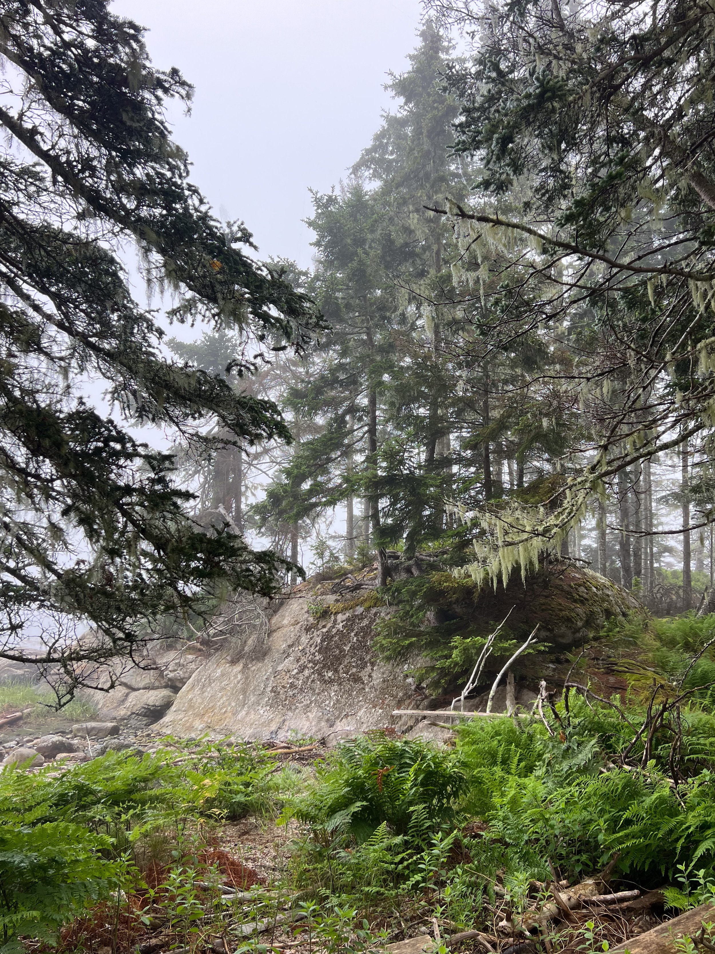 Hog Island-12.jpg