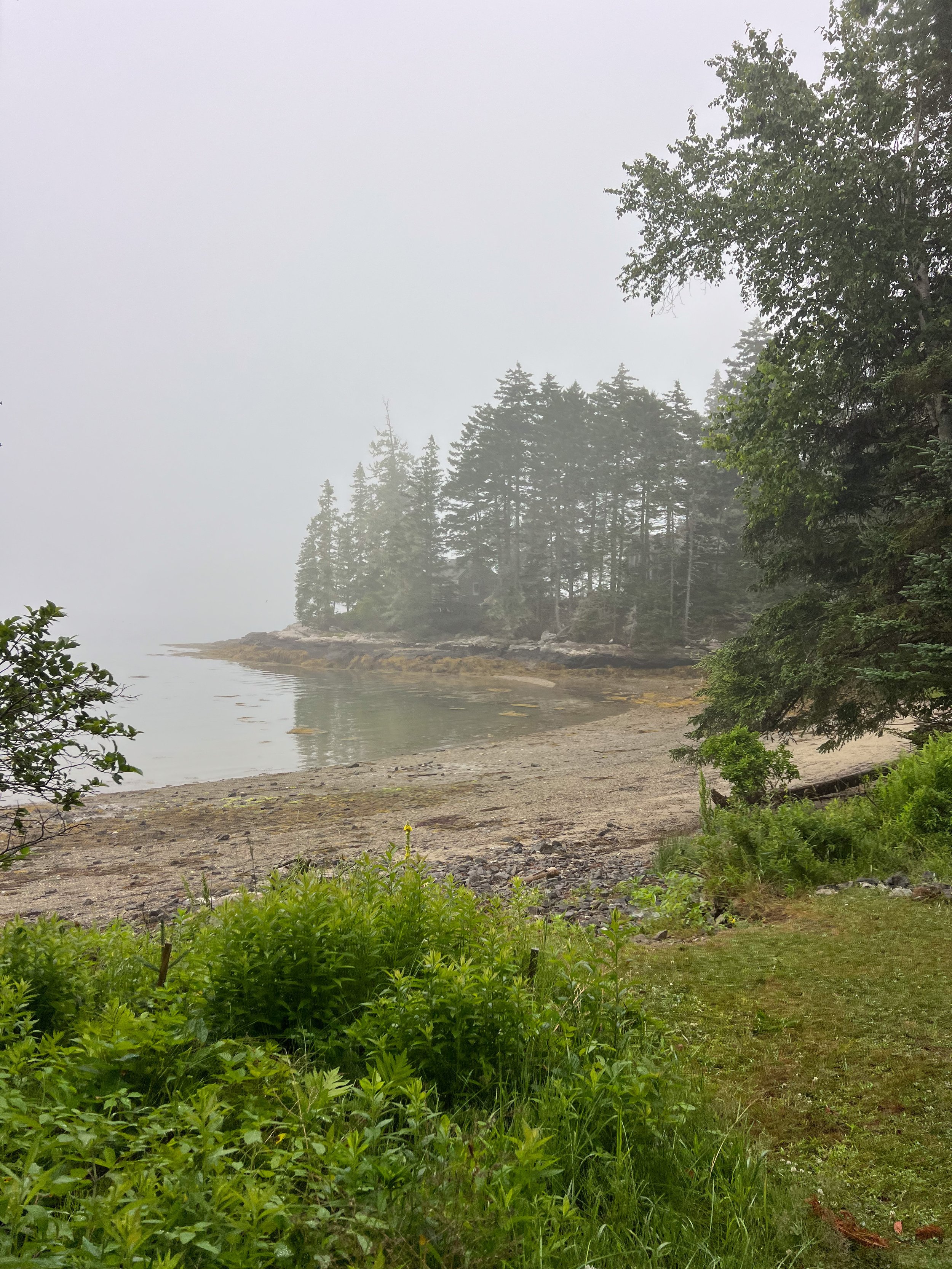 Hog Island-17.jpg