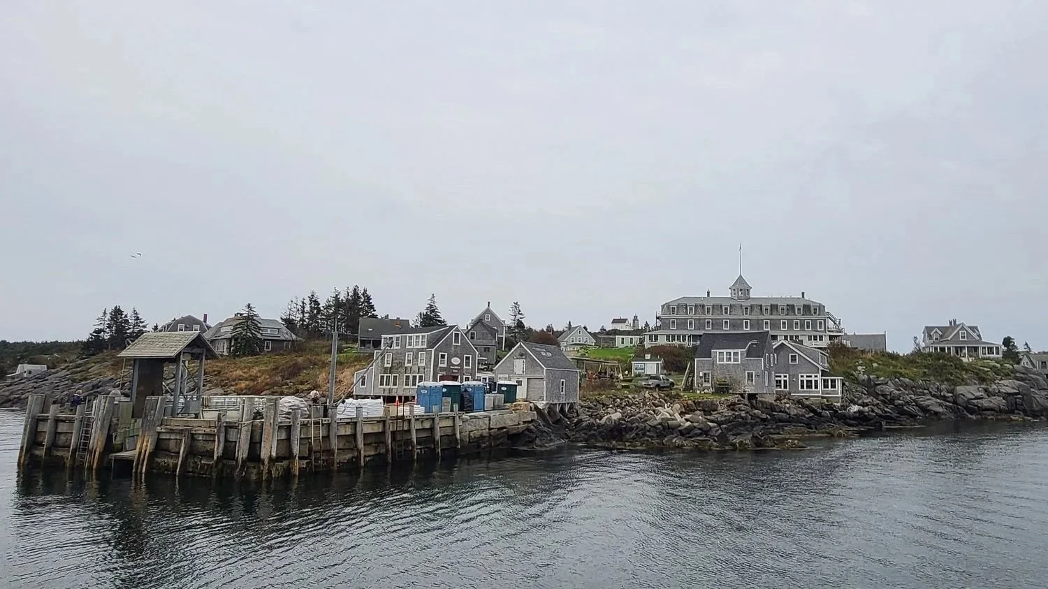 Fall Birding on Monhegan  2026