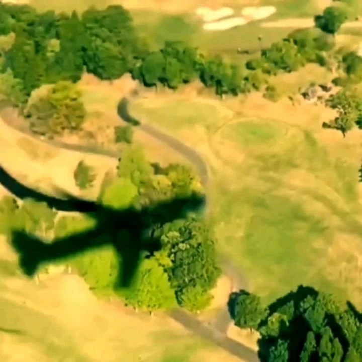 Asparo Seasons by user07453677 has now closed at Atlas House but is currently screening online until 10th March.

https://atlashouse.org/asparo-seasons

Thanks to everyone that dropped by to watch it! 😻