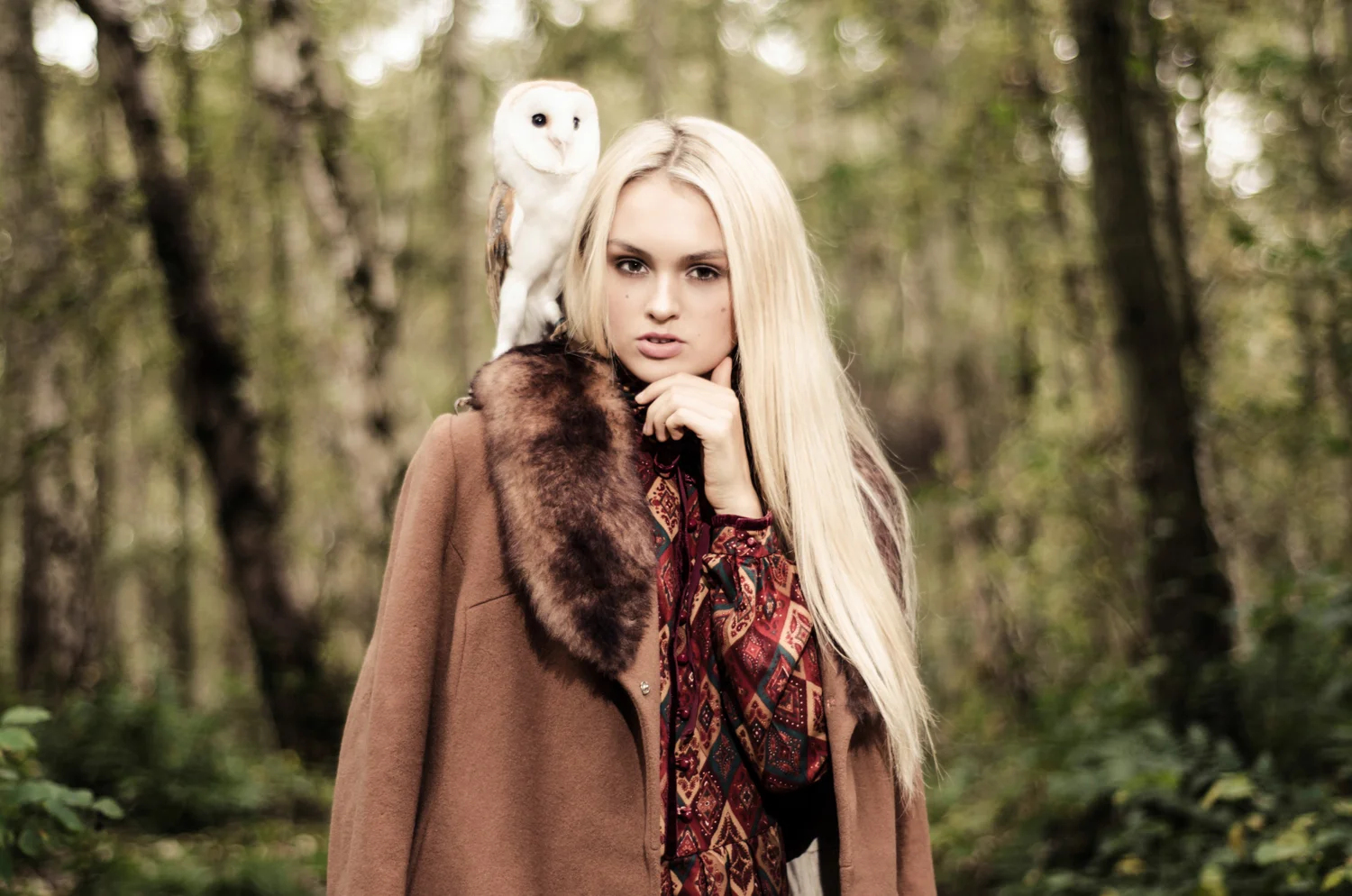 Animal Encounter-4317edit.jpg