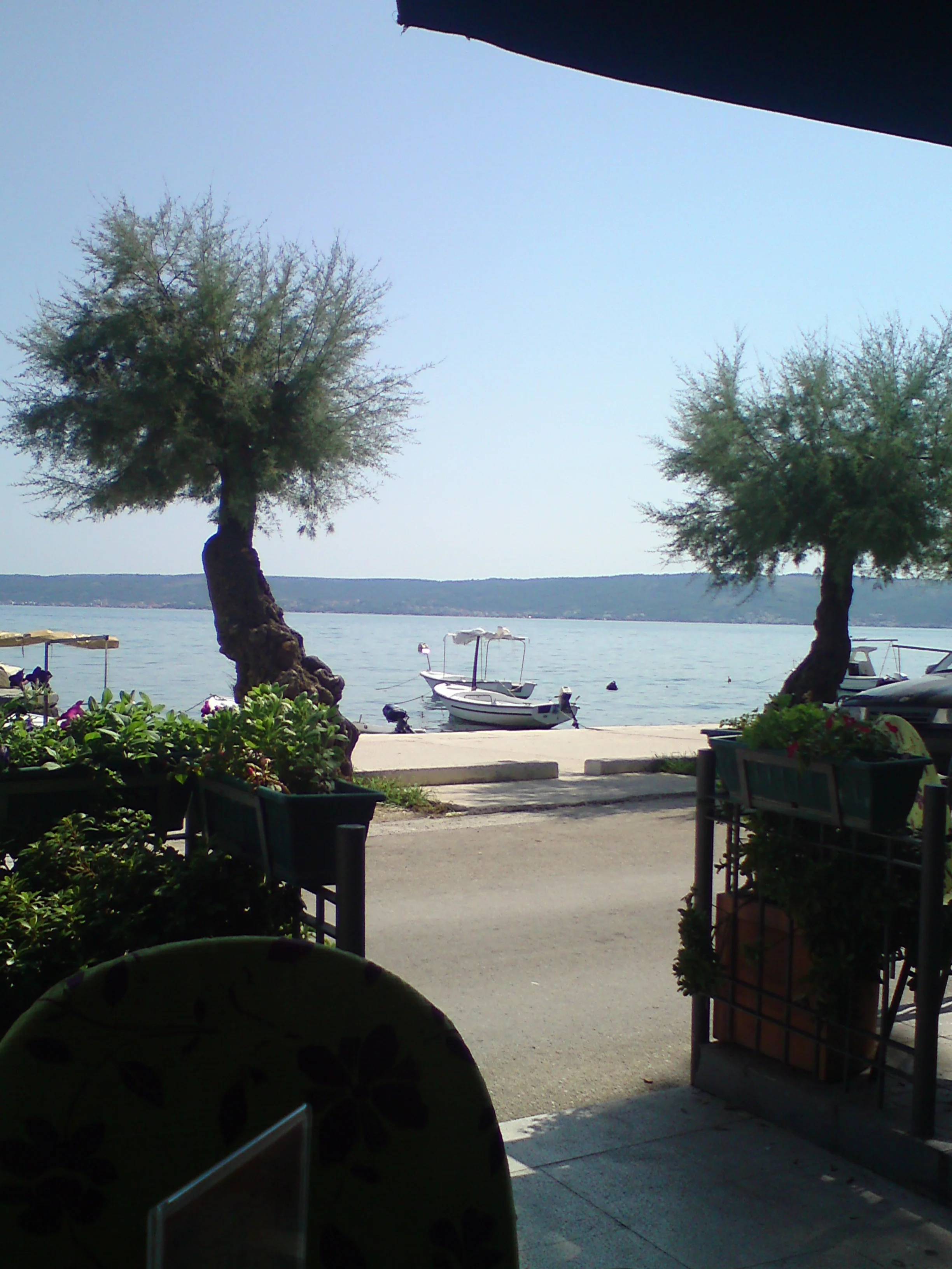 DSC00103.JPG