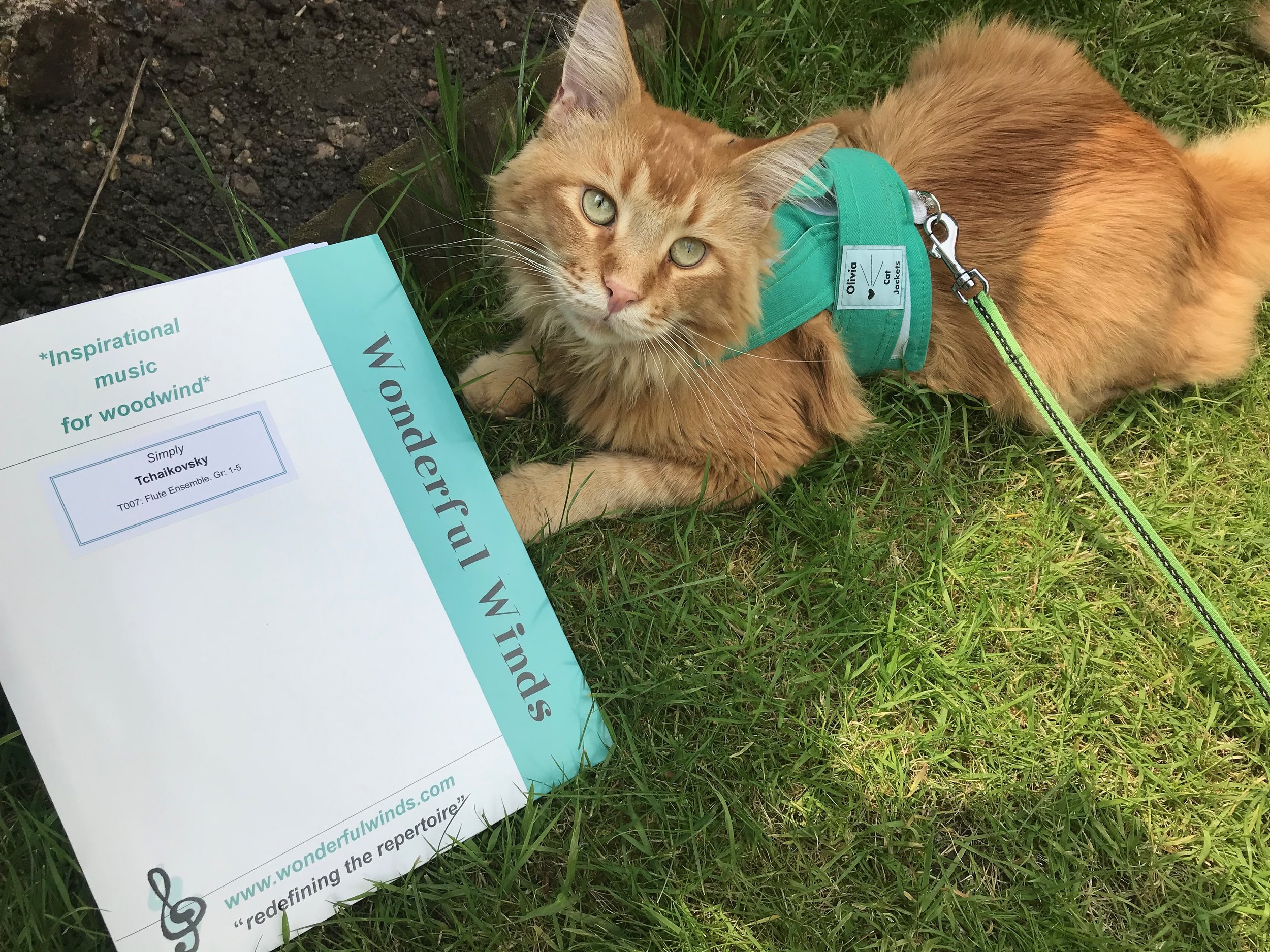 JJ approves of ‘Simply Tchaikovsky are by Mel Orriss, published by Wonderful Winds