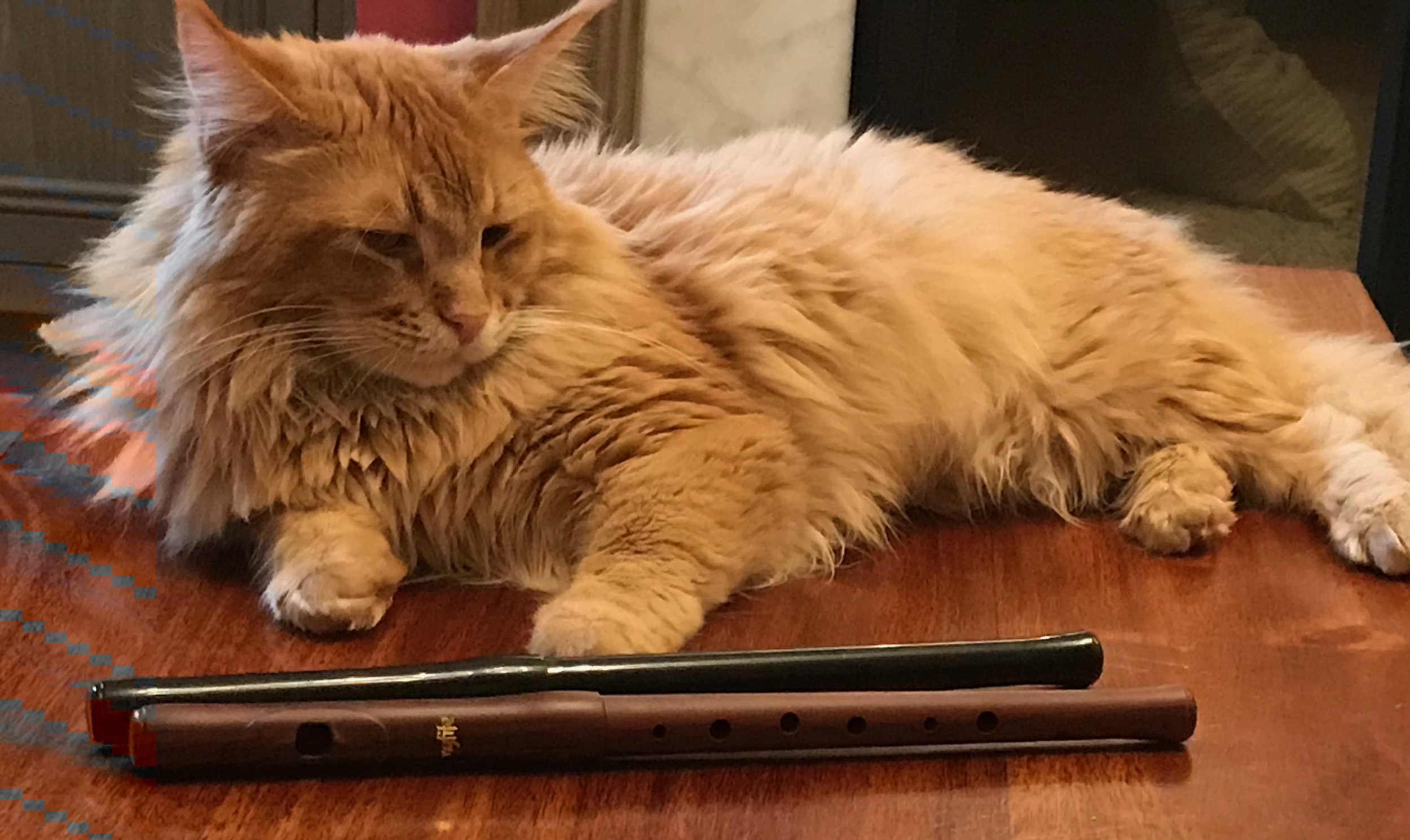 Flutewise Club September 2019