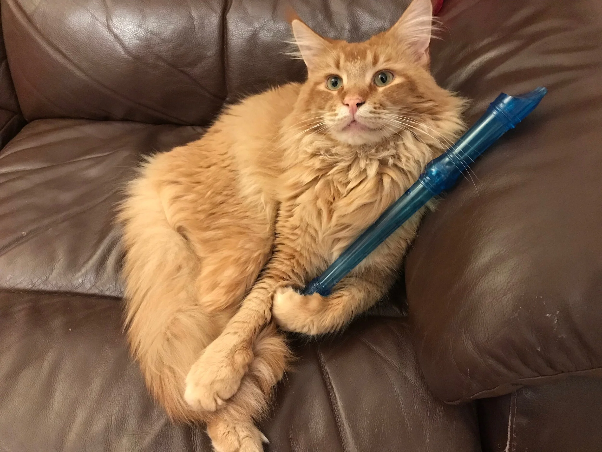 Flutewise Club January