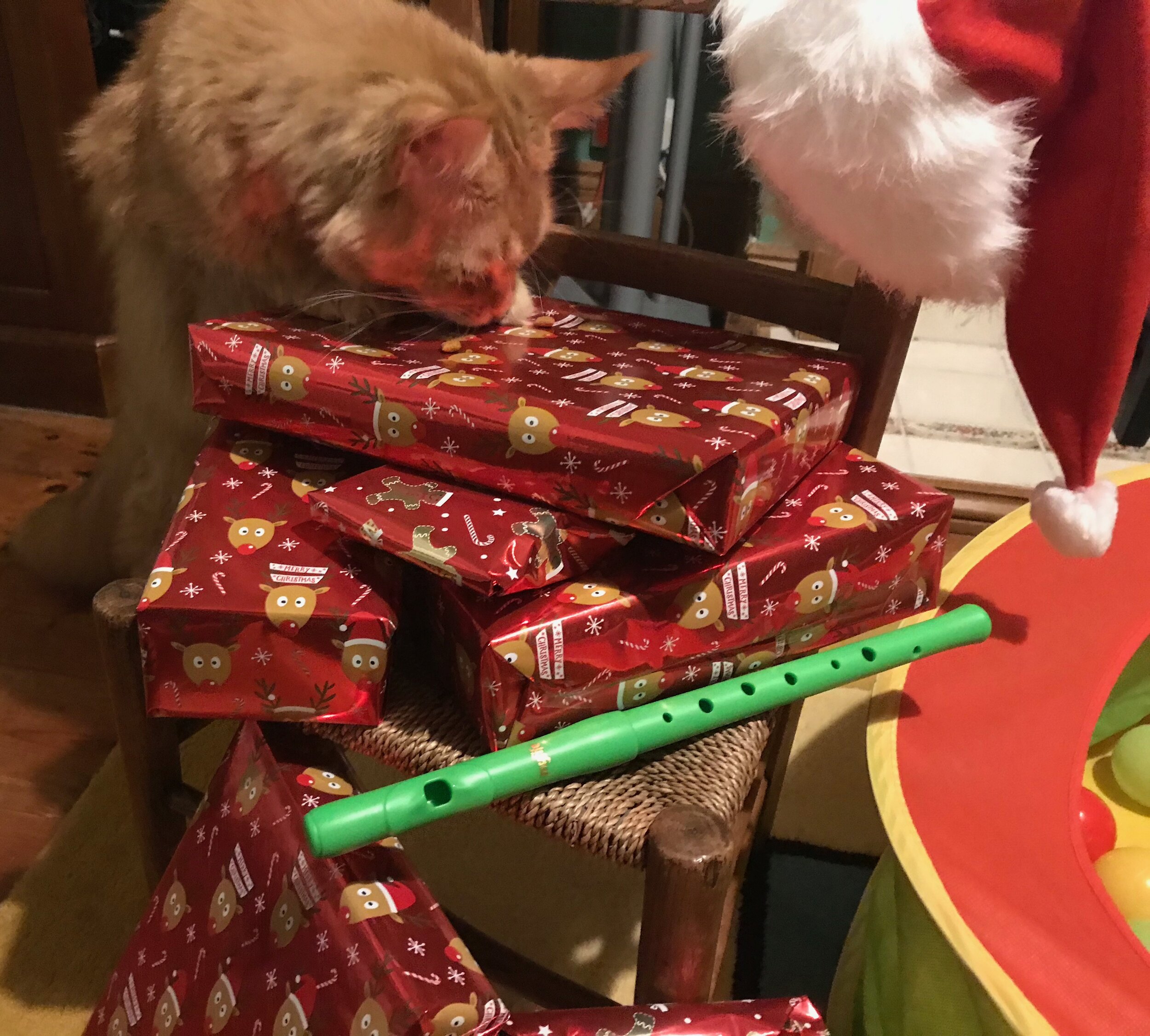 The Flutewise Winterval Spectacular