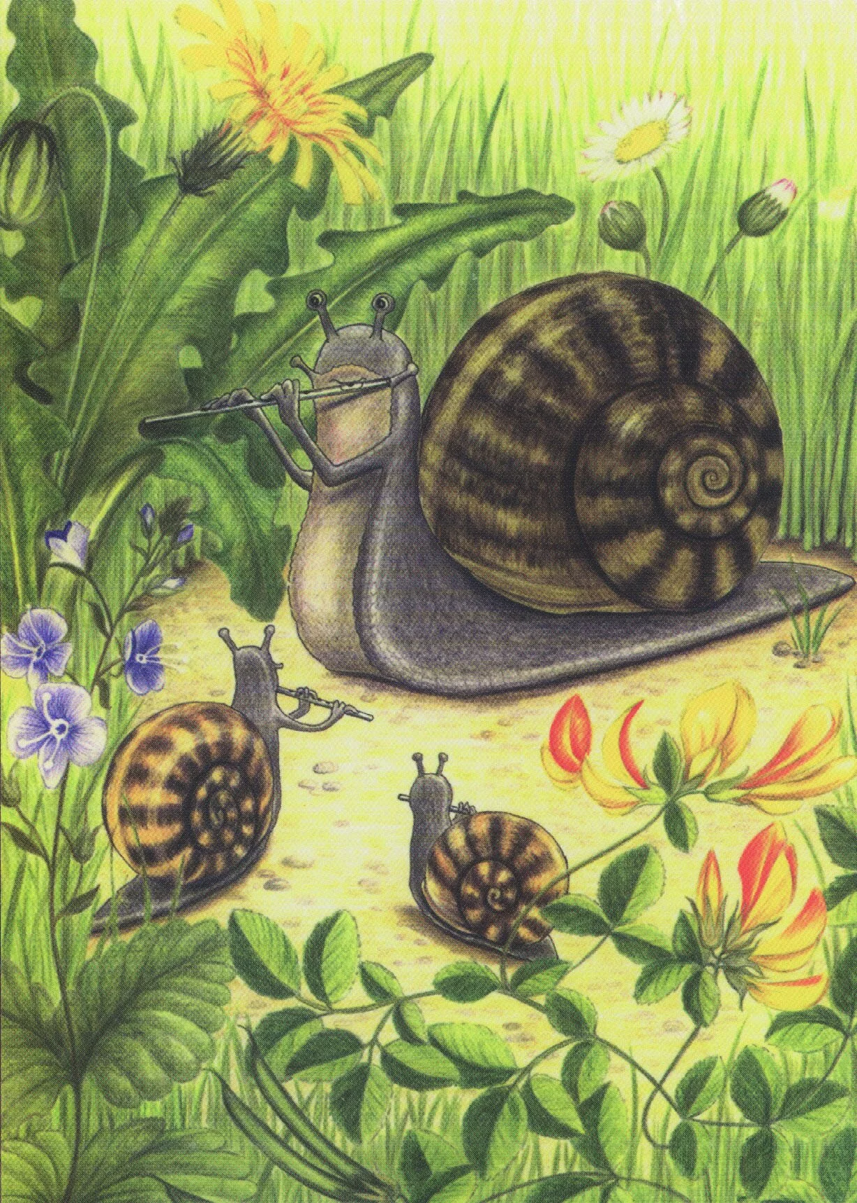 CoverSmall6.jpg