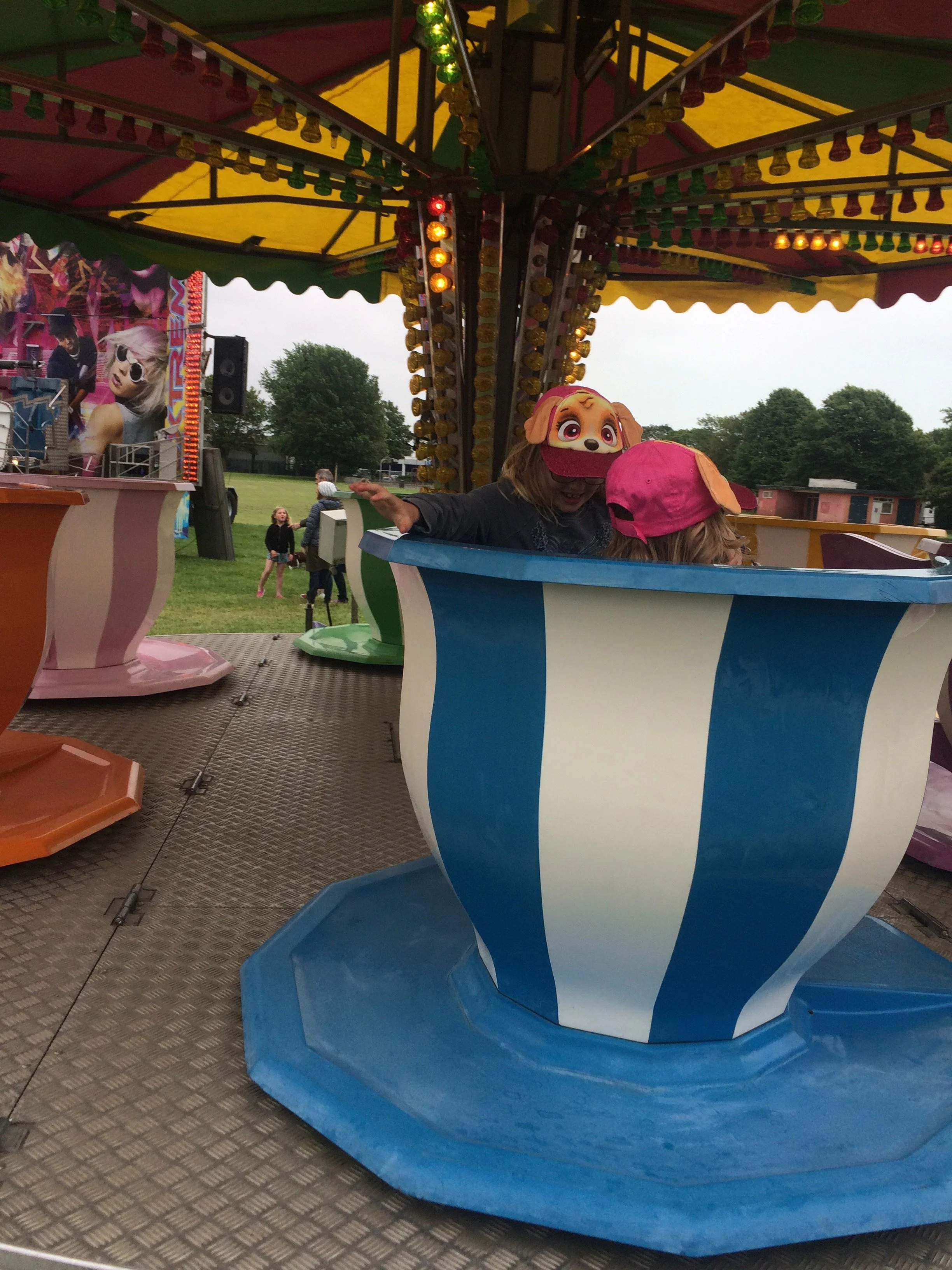 Flutewise Picnic and Fun Fair