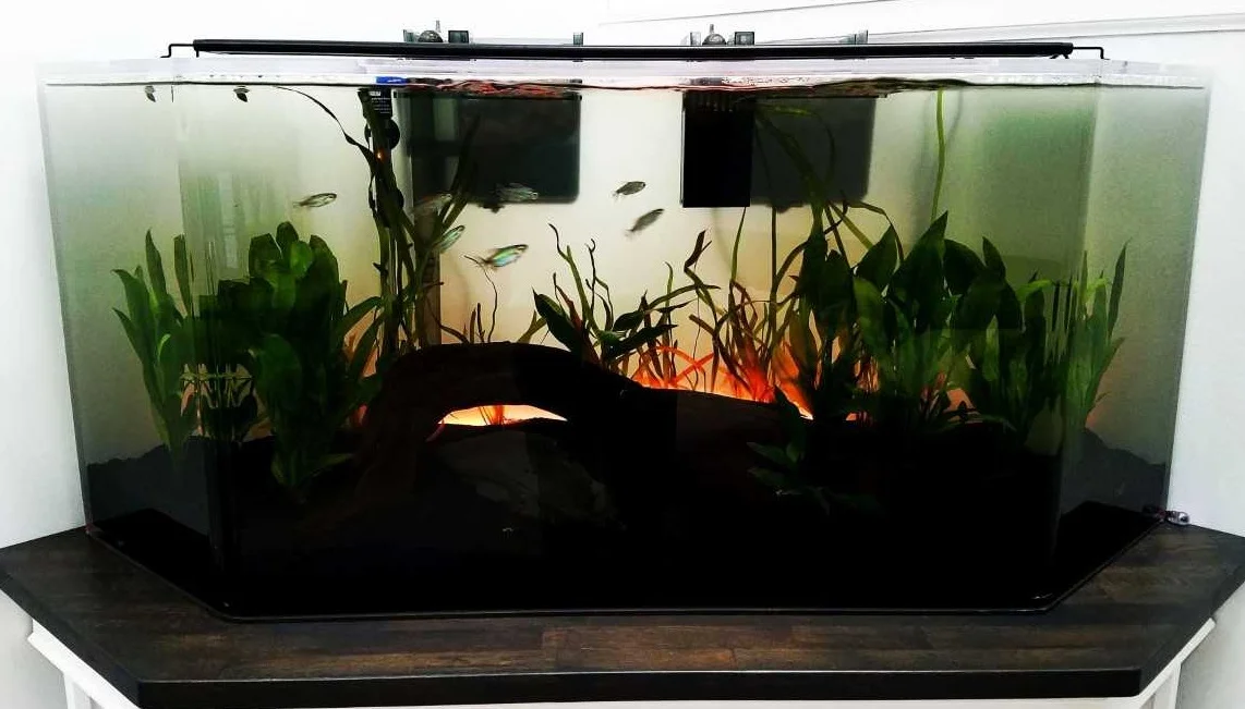 Hexagon aquarium