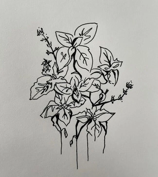 He Called Her His Basil Plant.jpg