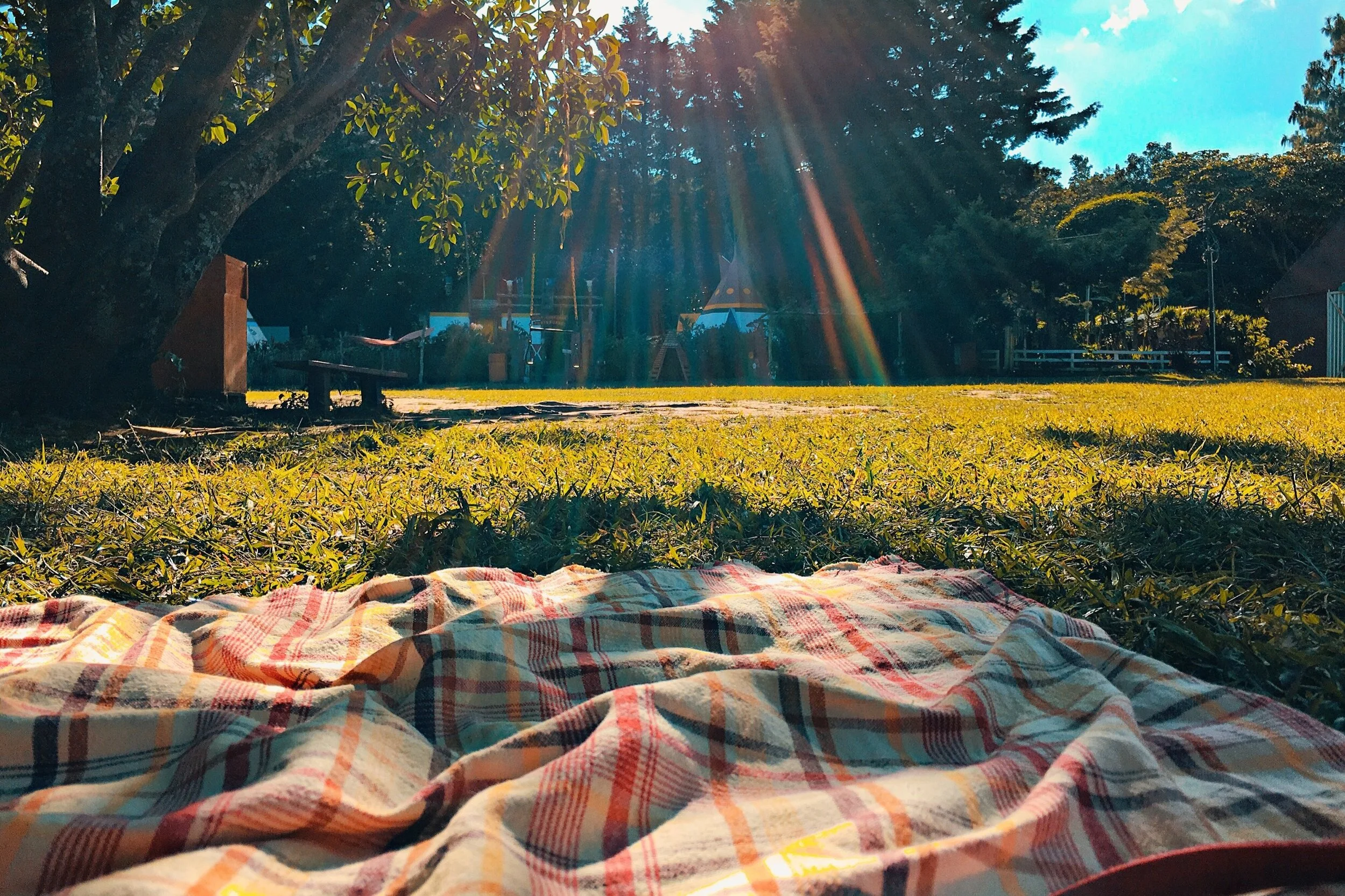 Staycation's all I never wanted