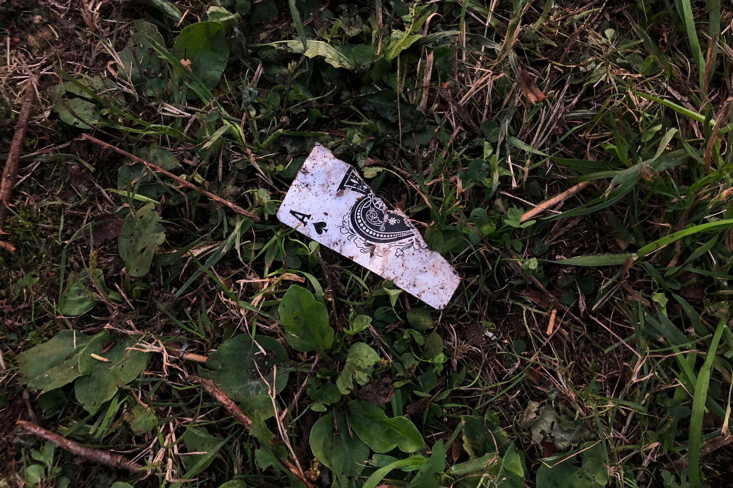 It's in the cards, part clubs &amp; spades